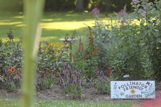 A vibrant garden with a variety of flowering plants such as purple, orange, and red blooms. A sign indicates it is a 'Pollinator Friendly Garden' with illustrations of flowers and bees. The garden is lush with greenery, and a birdbath is visible in the background.
