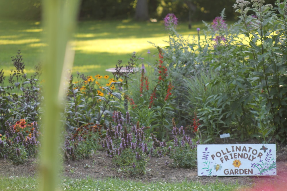 a sign that is in the grass near flowers