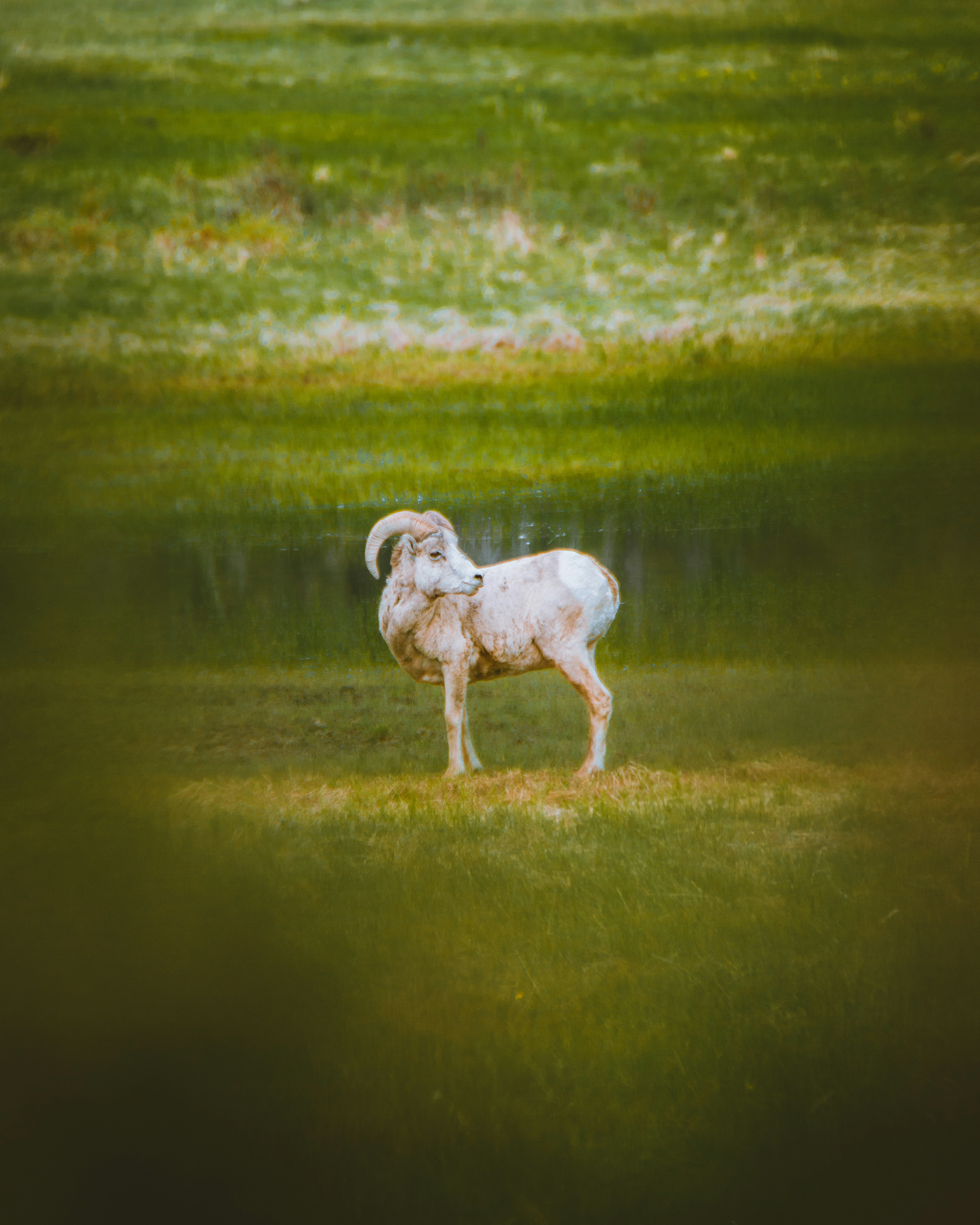Photo by adamcdav
