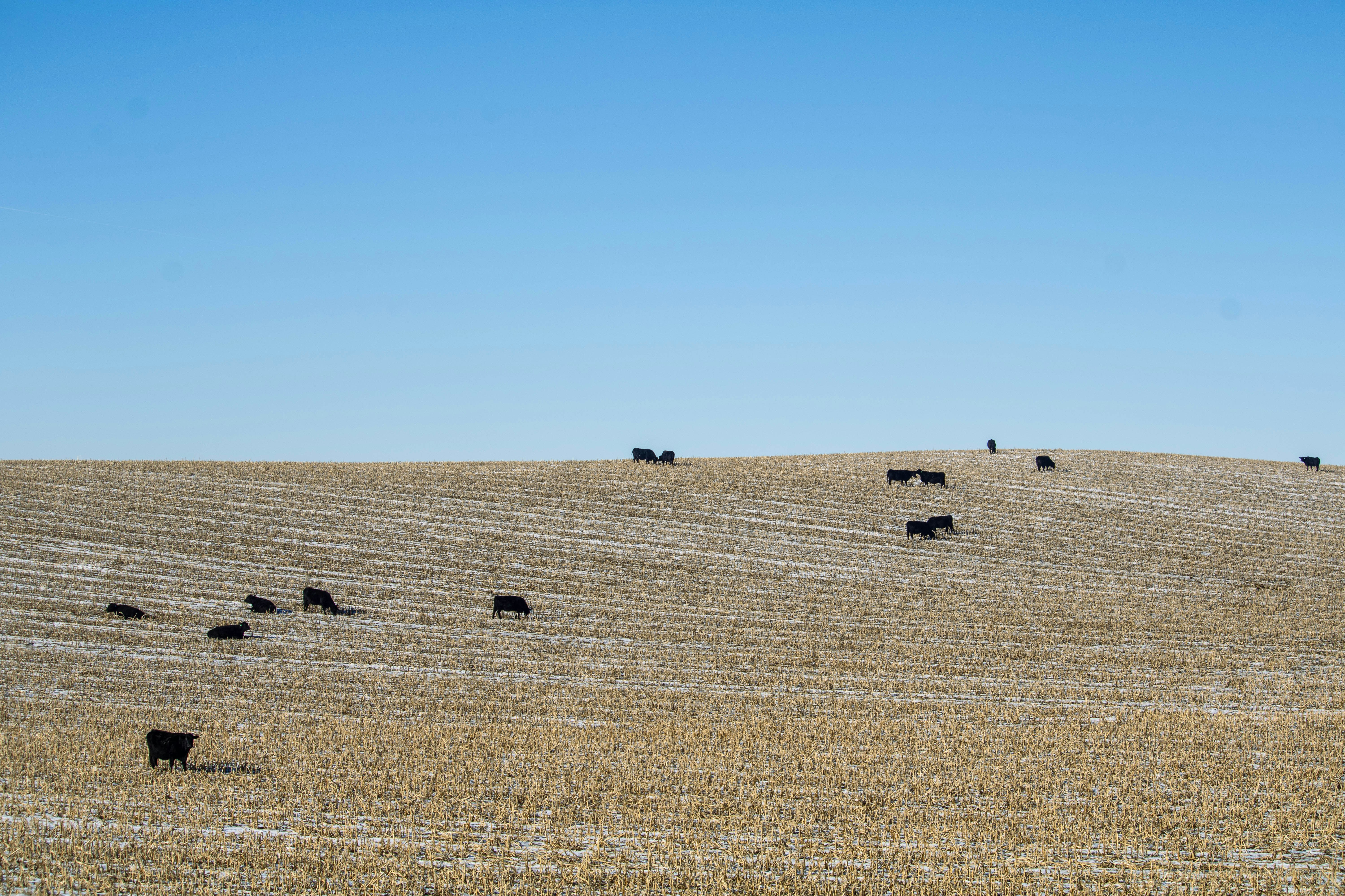 Photo by richard_dev