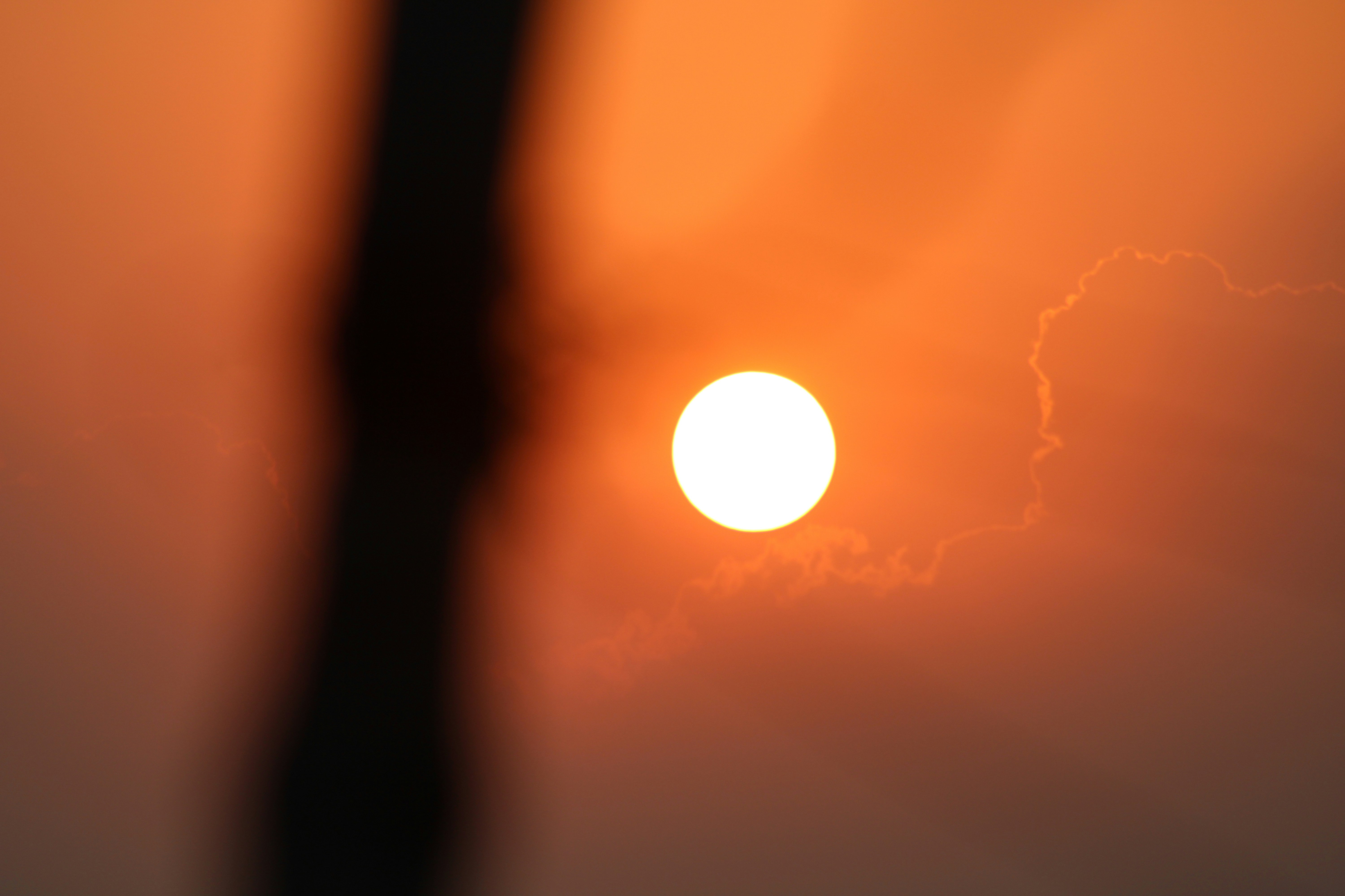 Photo by photoloveramico