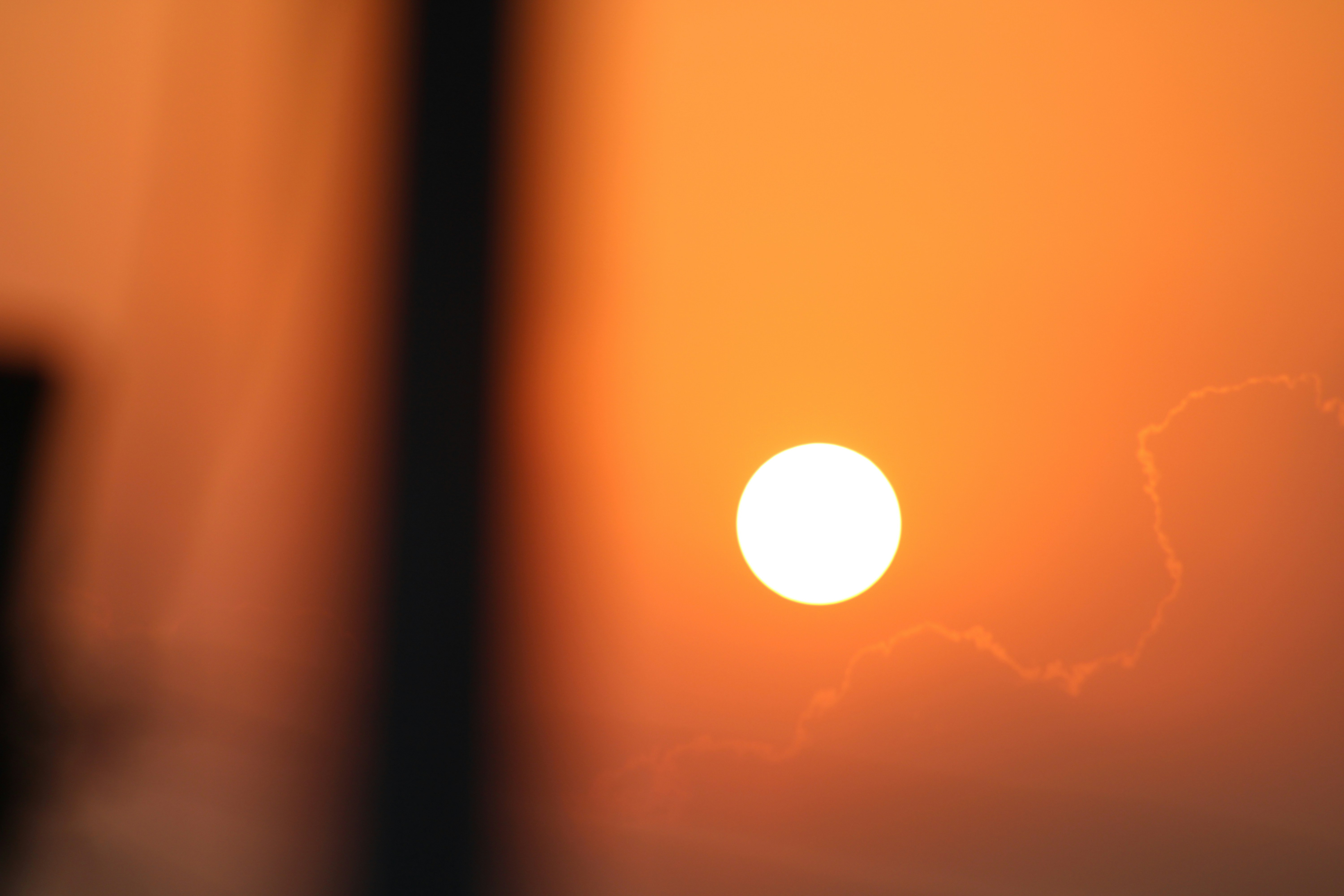 Photo by photoloveramico