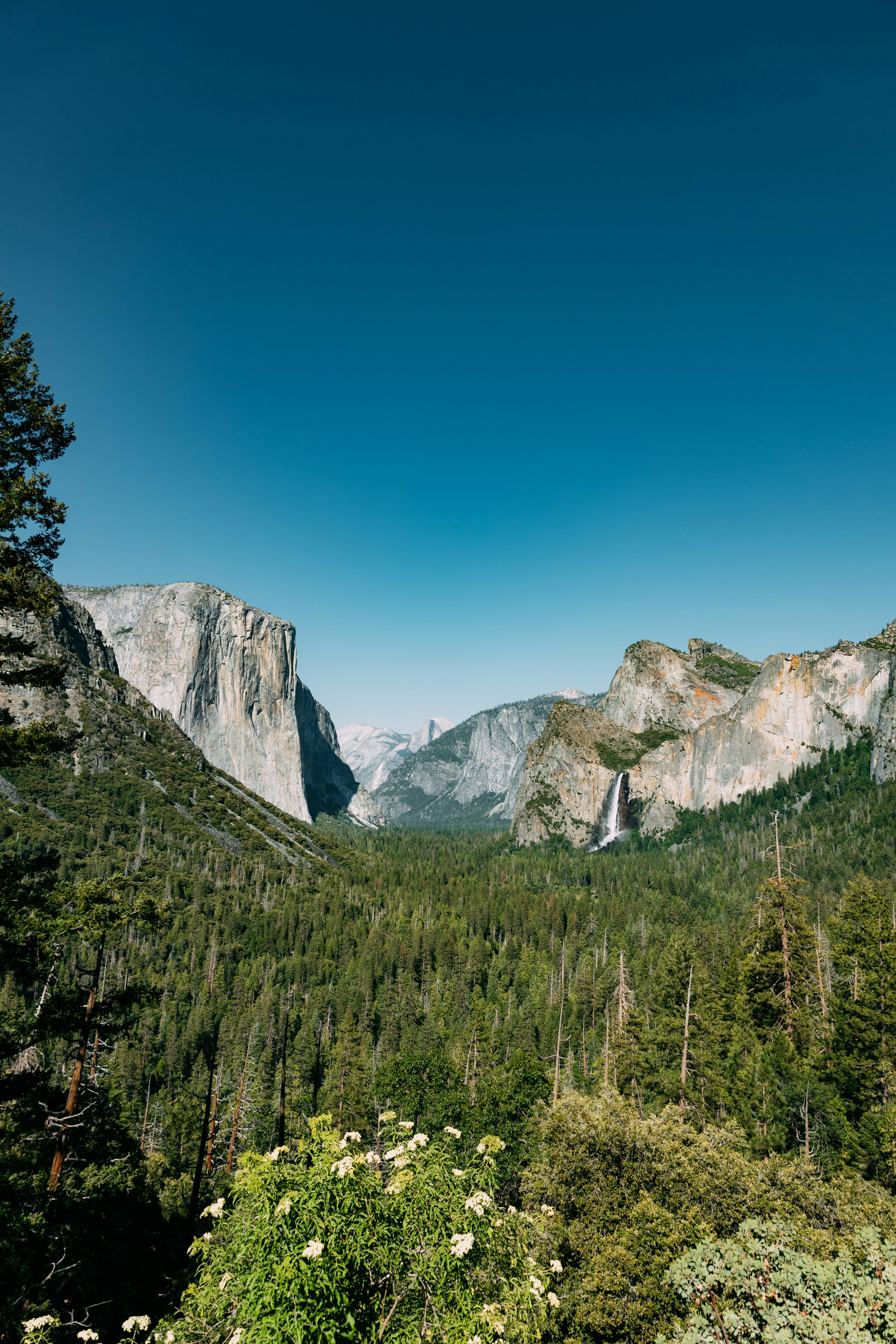 Photo by brechtdenil