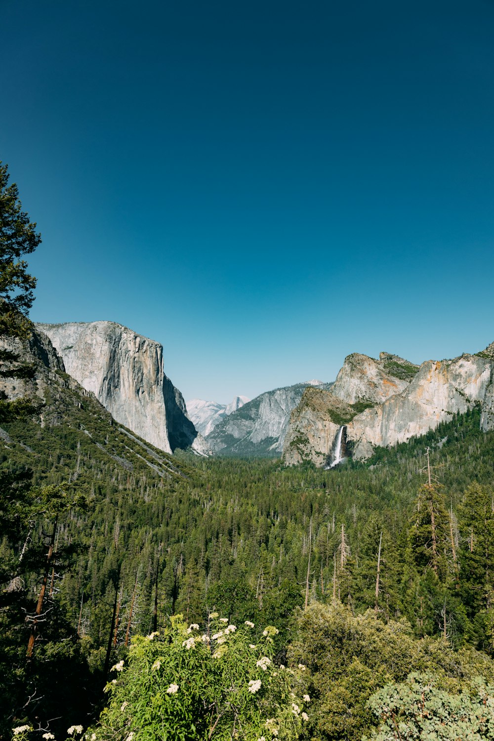 a view of a valley with a waterfall in the distance