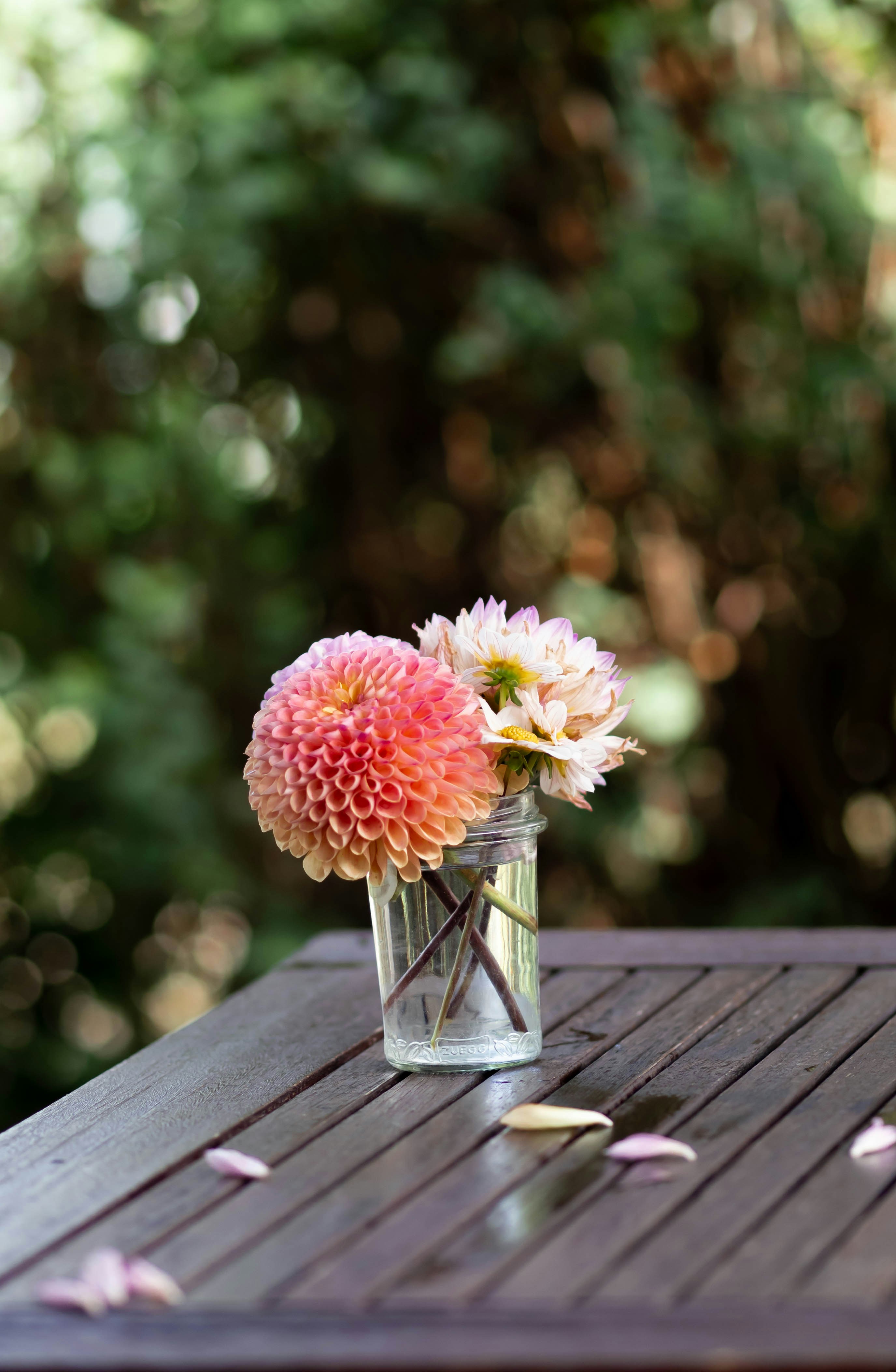 Photo by eileen_kummer