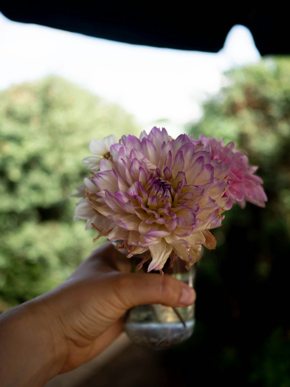 a person holding a glass with a flower in it