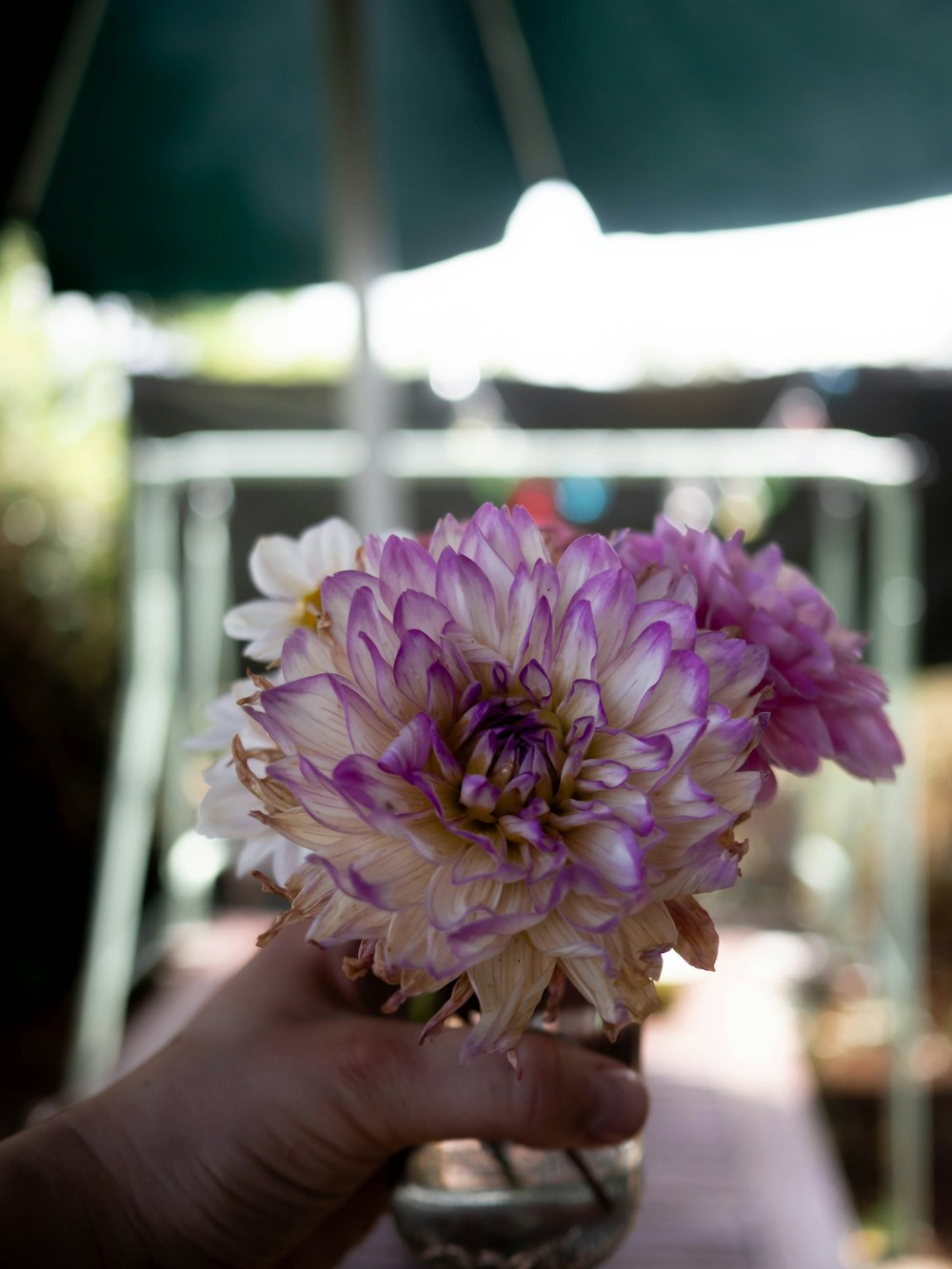 a person holding a vase with a purple flower in it