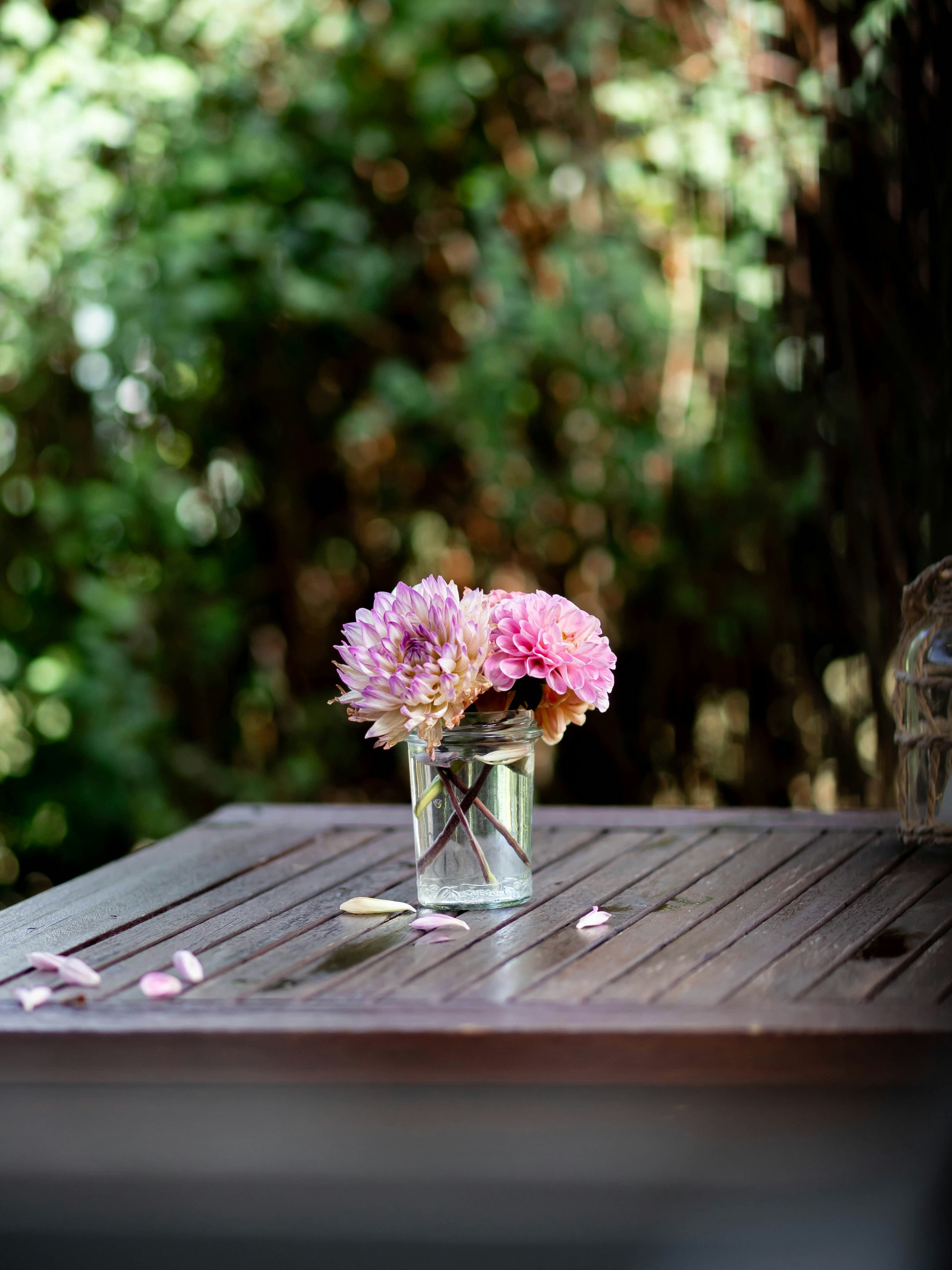 Photo by eileen_kummer