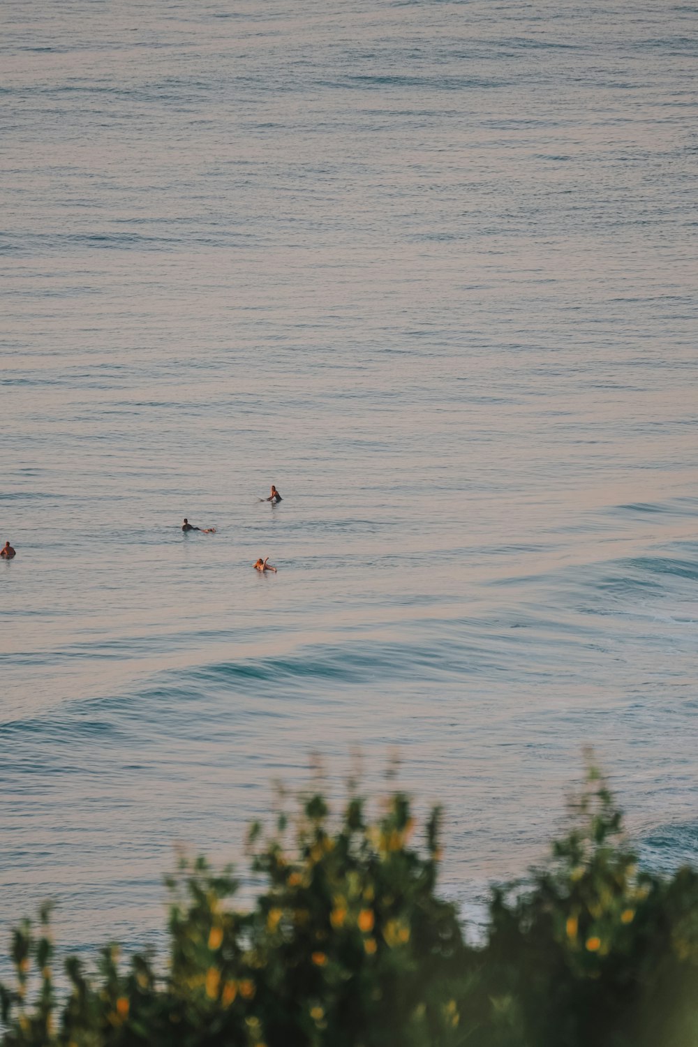 a group of people riding surfboards on top of a wave