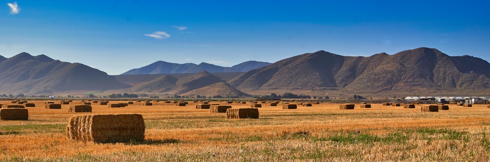 a field of hay bales with mountains in the background