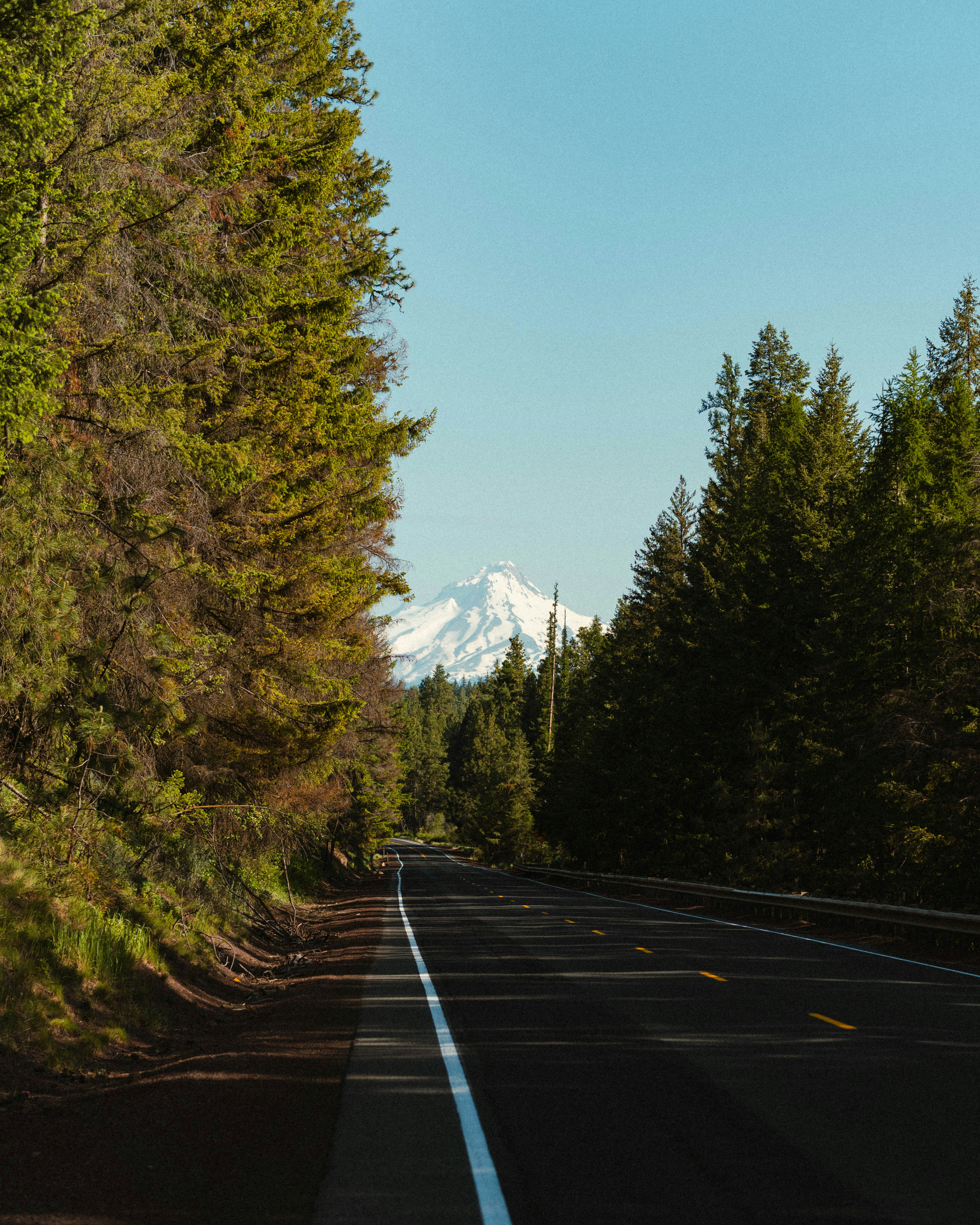 Photo by jarbear8243