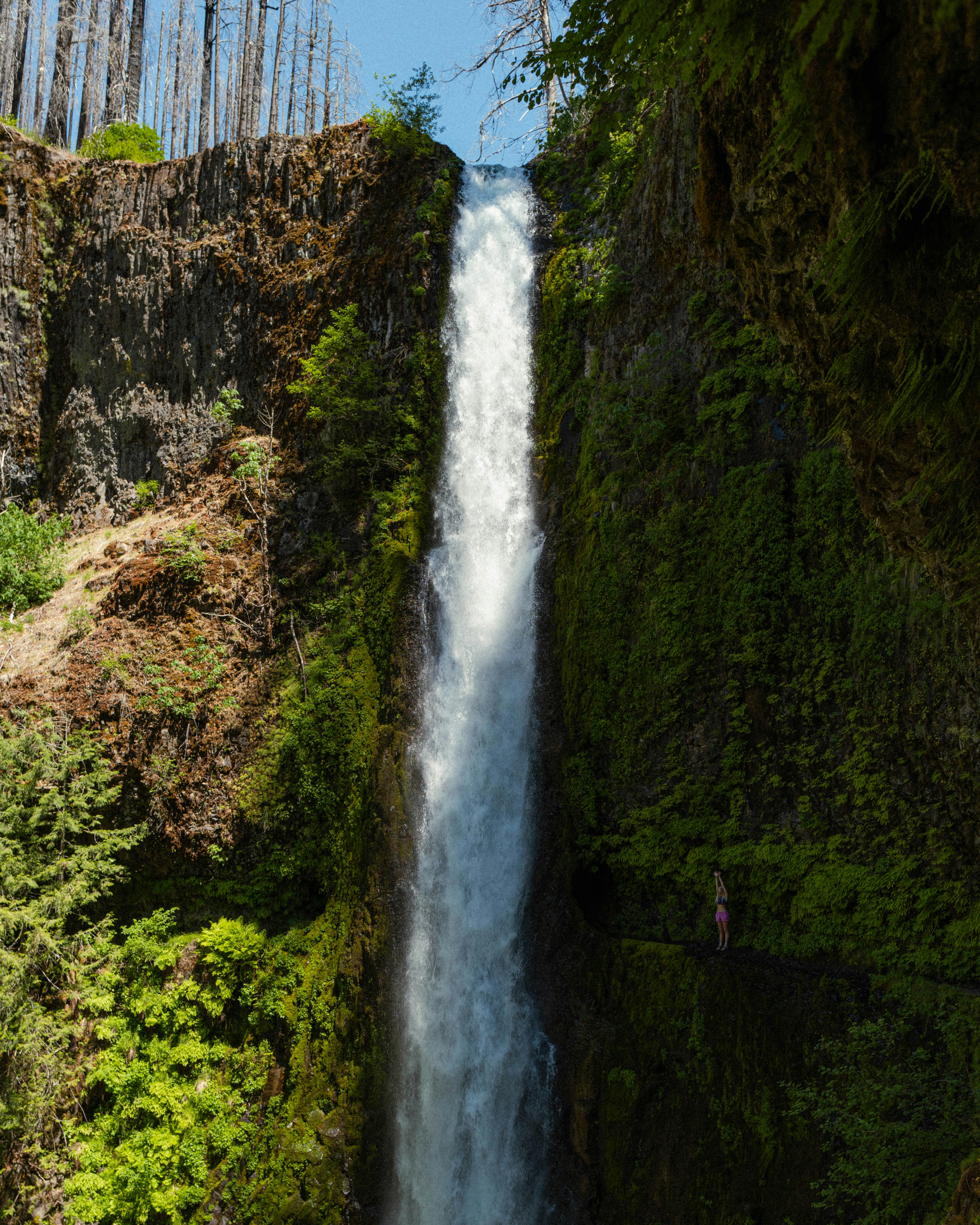 Photo by jarbear8243