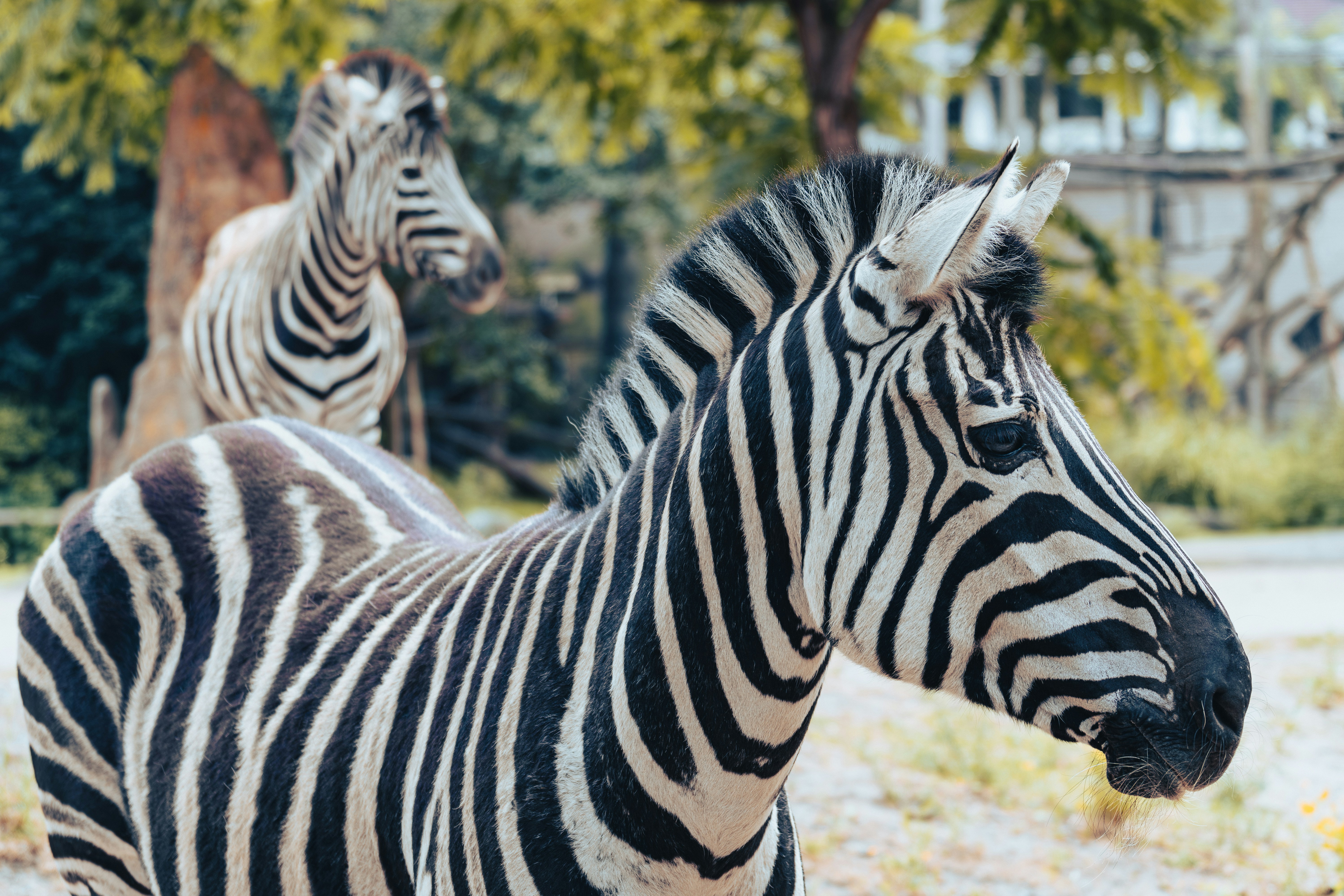 Photo by aronmarinelli