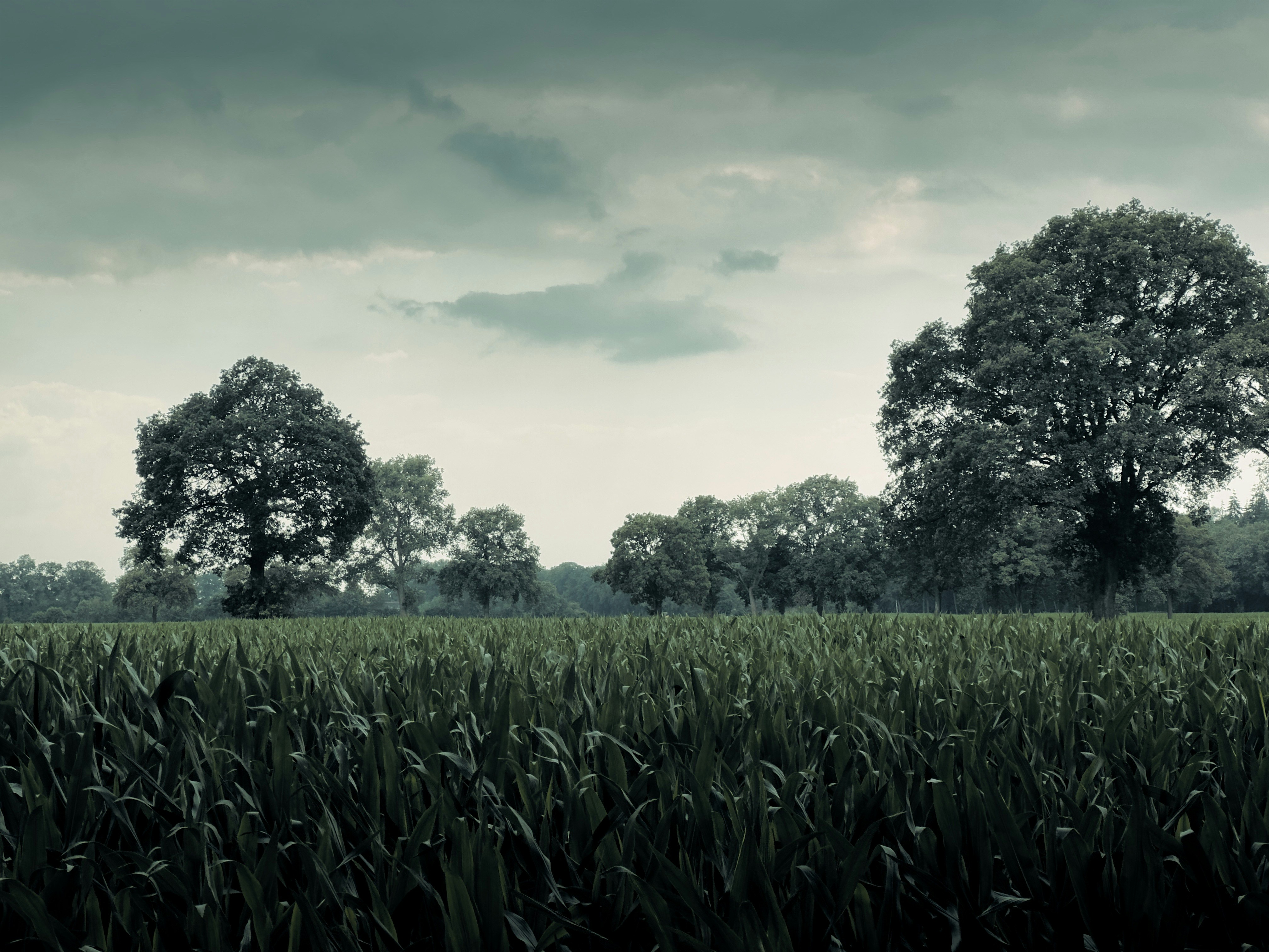 Photo by sinusfiction