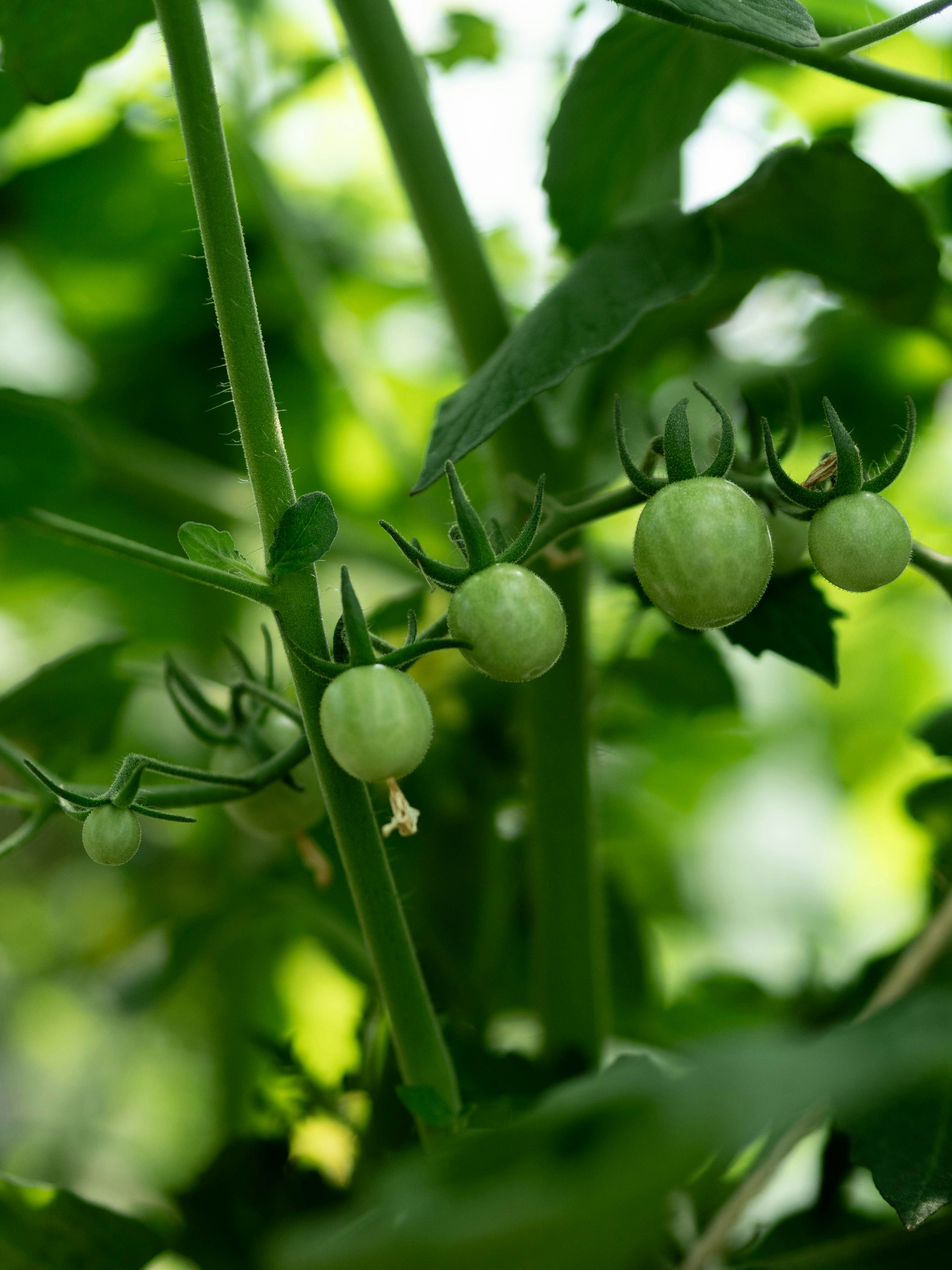 Photo by eileen_kummer