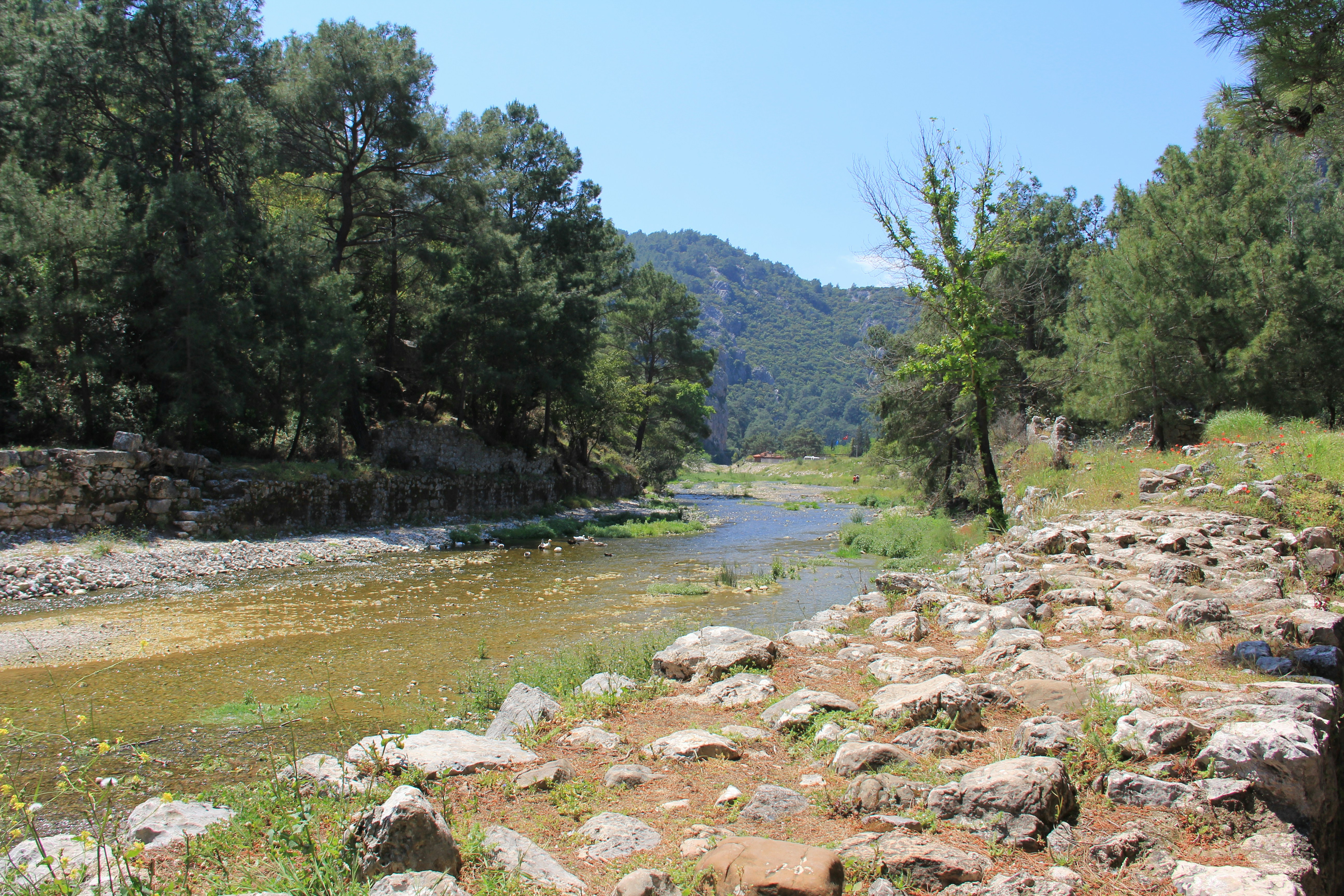 Photo by ahmetruzgar