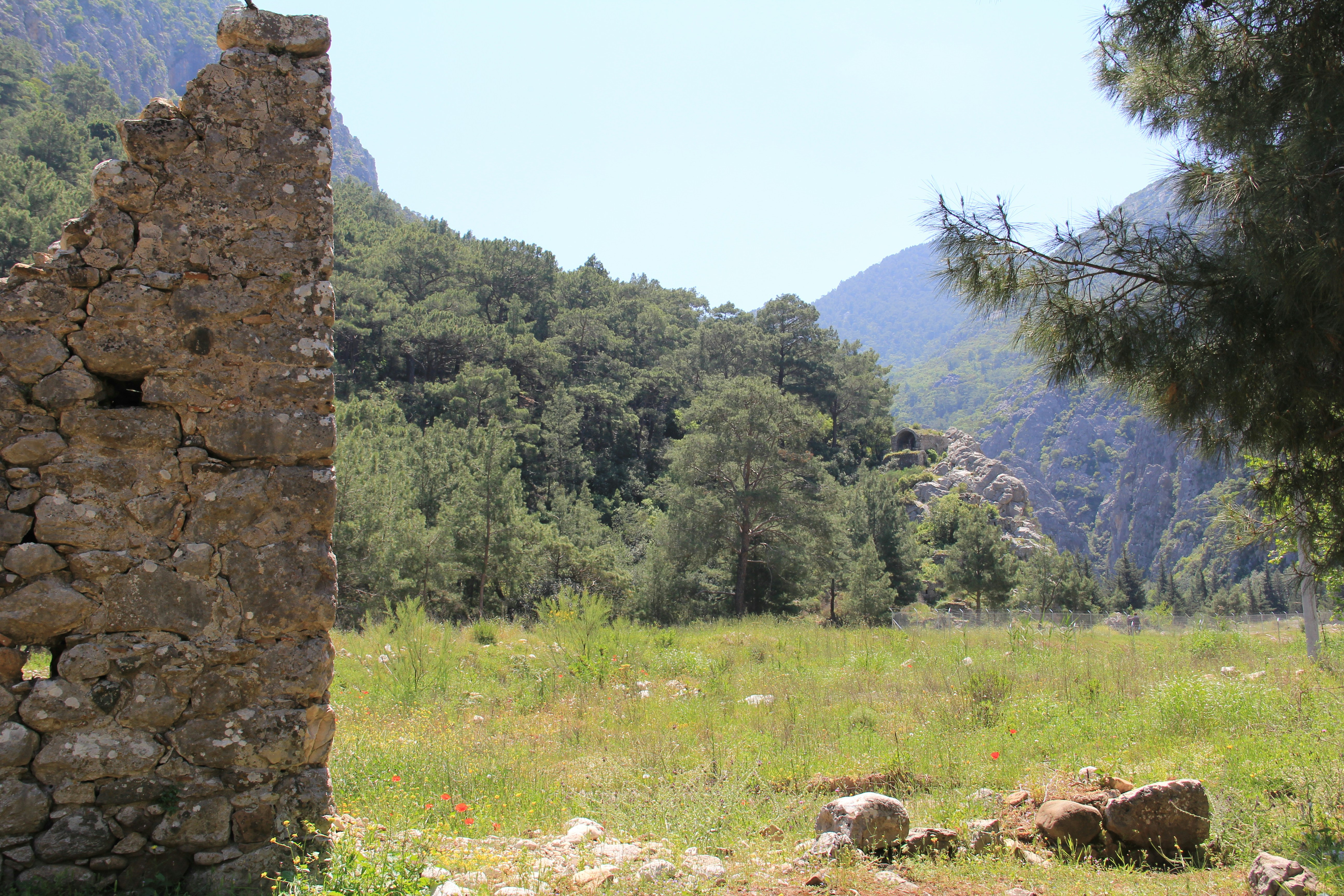 Photo by ahmetruzgar