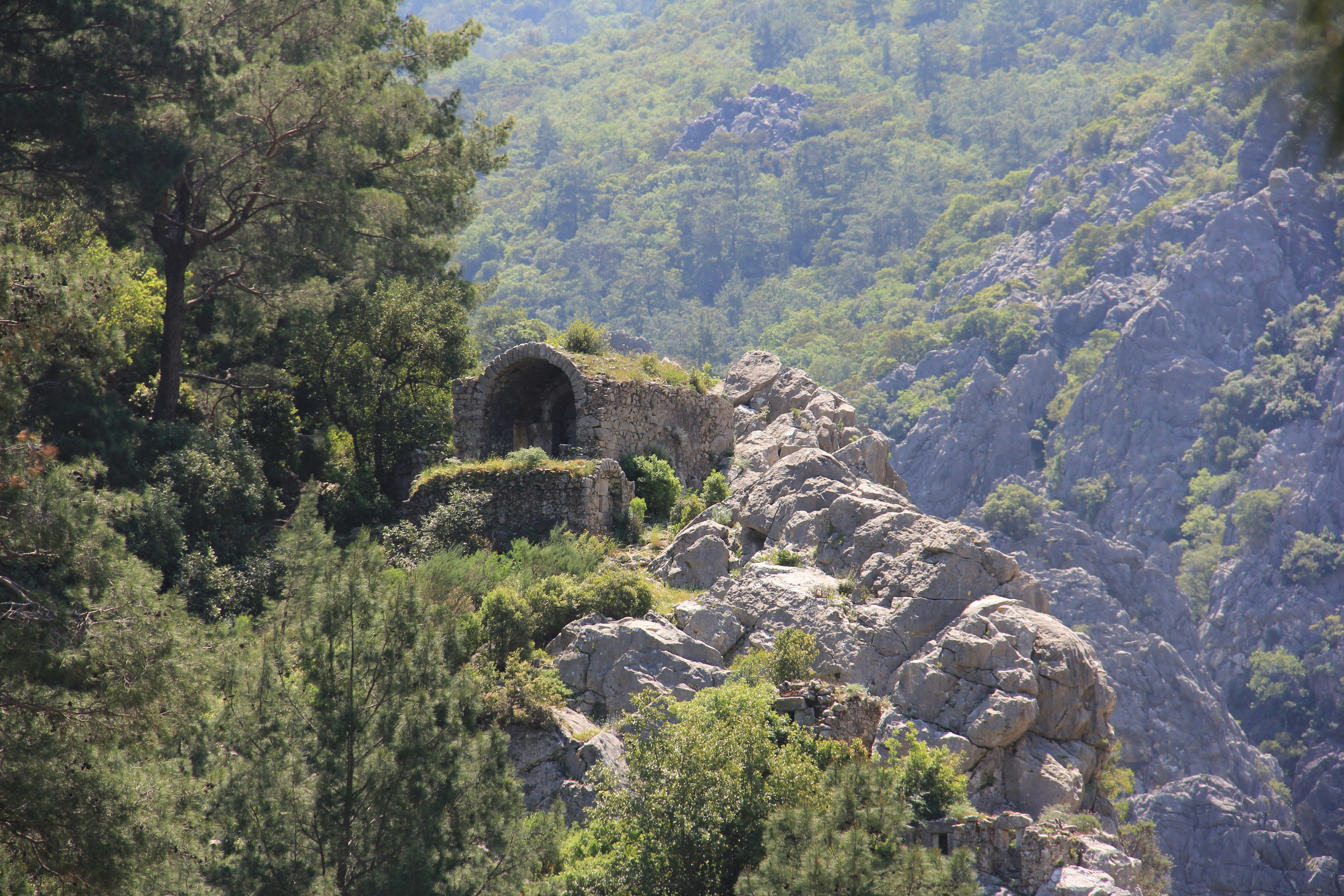 a stone tunnel in the middle of a forest
