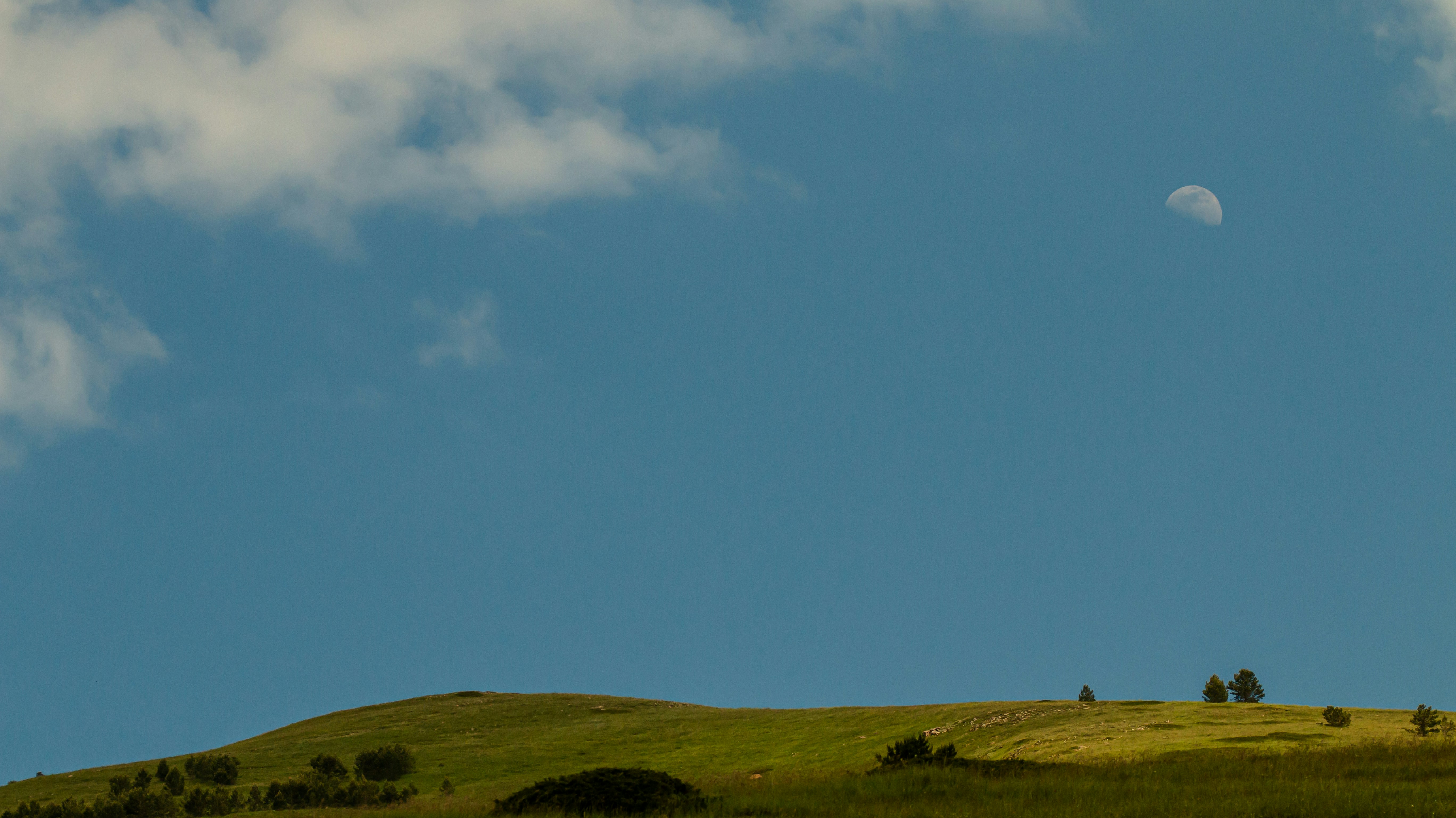 a grassy hill with trees and a half moon in the sky