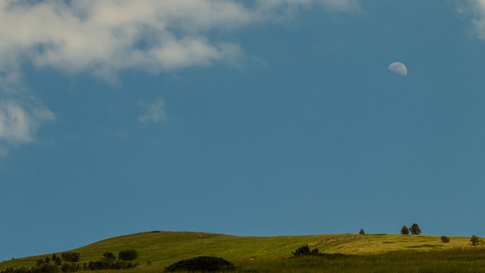 a grassy hill with trees and a half moon in the sky