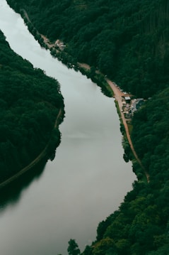 A serene view of a winding river flowing through a densely forested area. The lush greenery on both sides is dense and vibrant. A narrow dirt road runs parallel to the river, with several vehicles parked along it. A few buildings, possibly houses or lodges, are nestled among the trees near the road.
