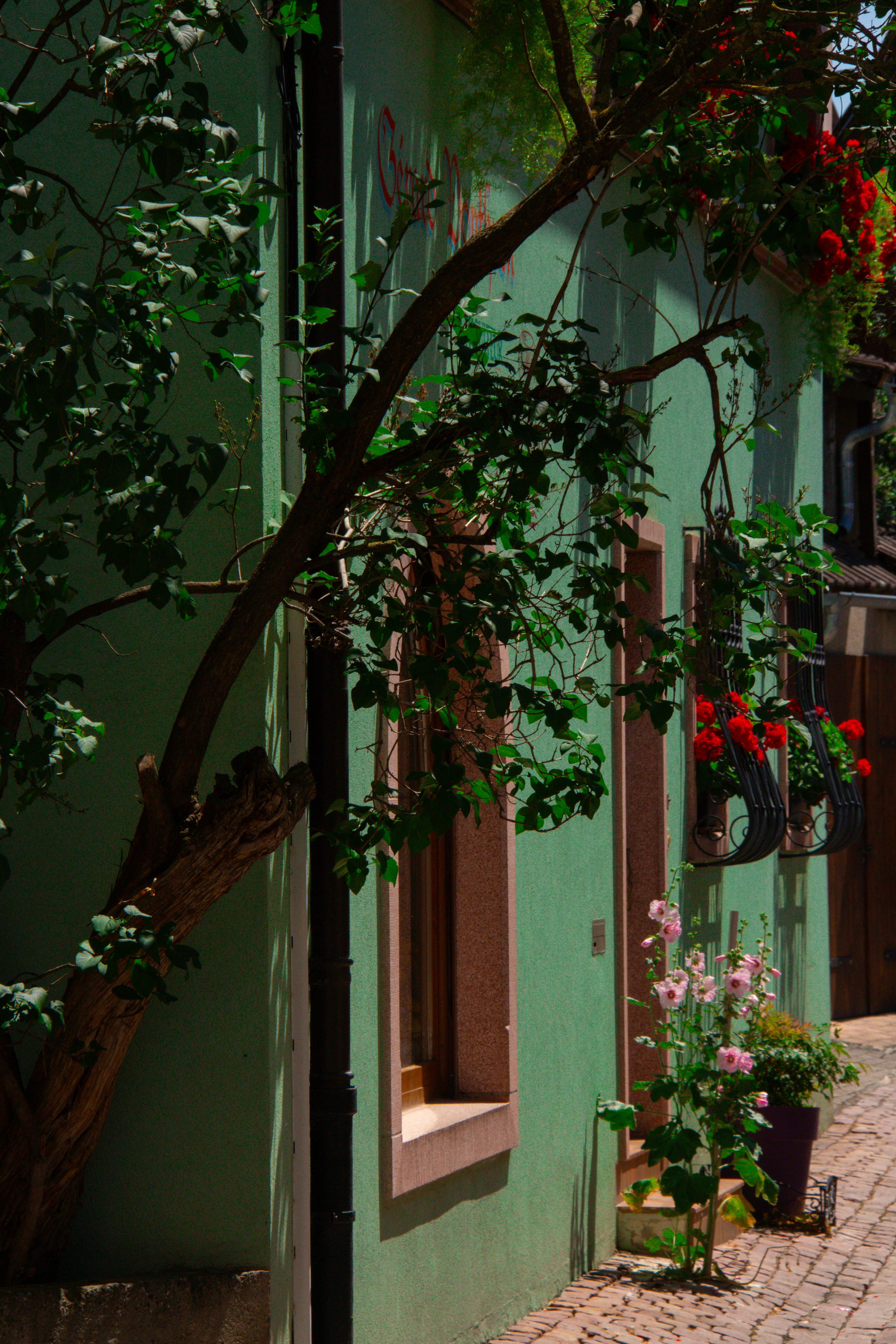 Photo by charlieh_viewfinder