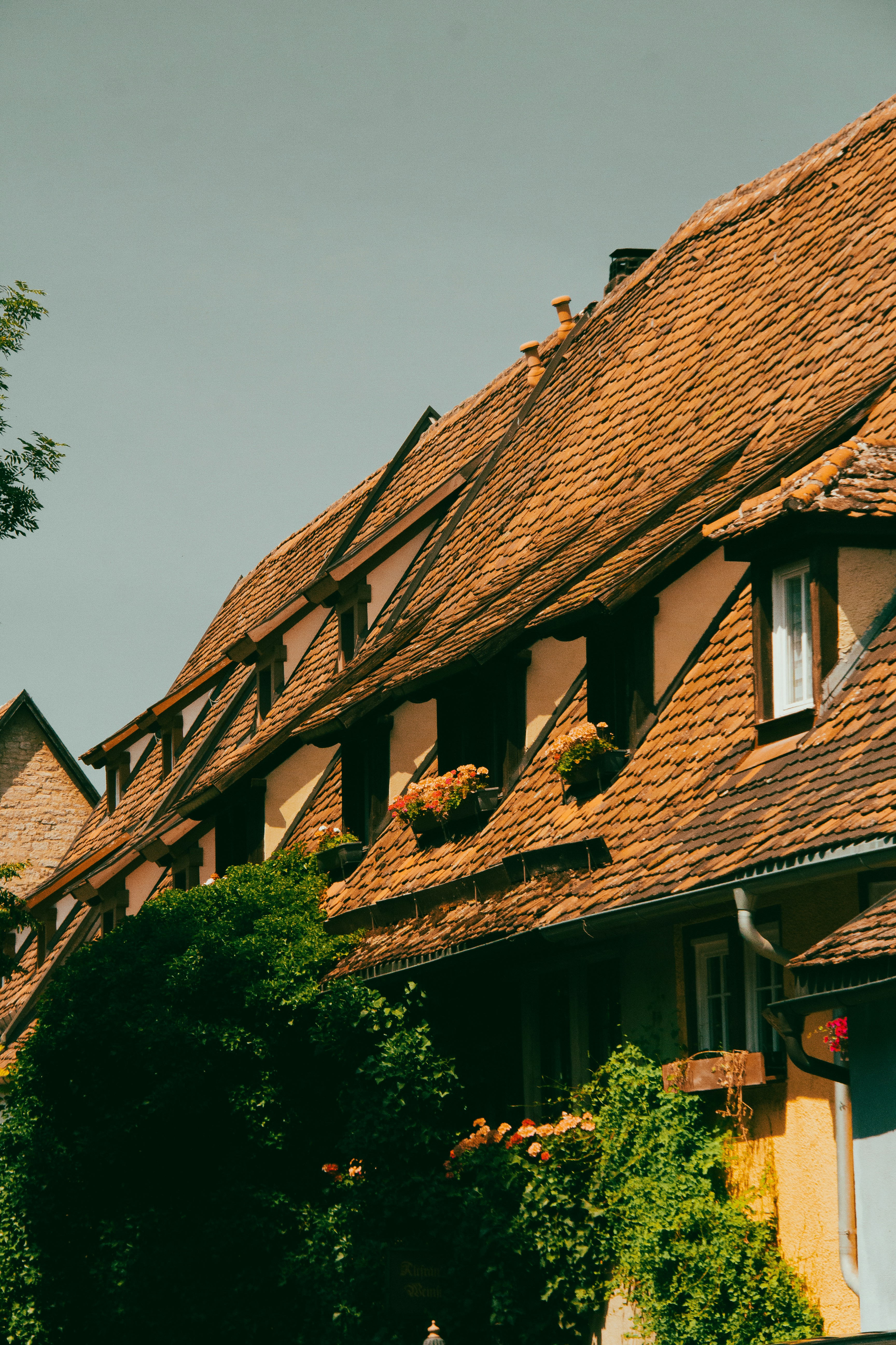 Photo by charlieh_viewfinder