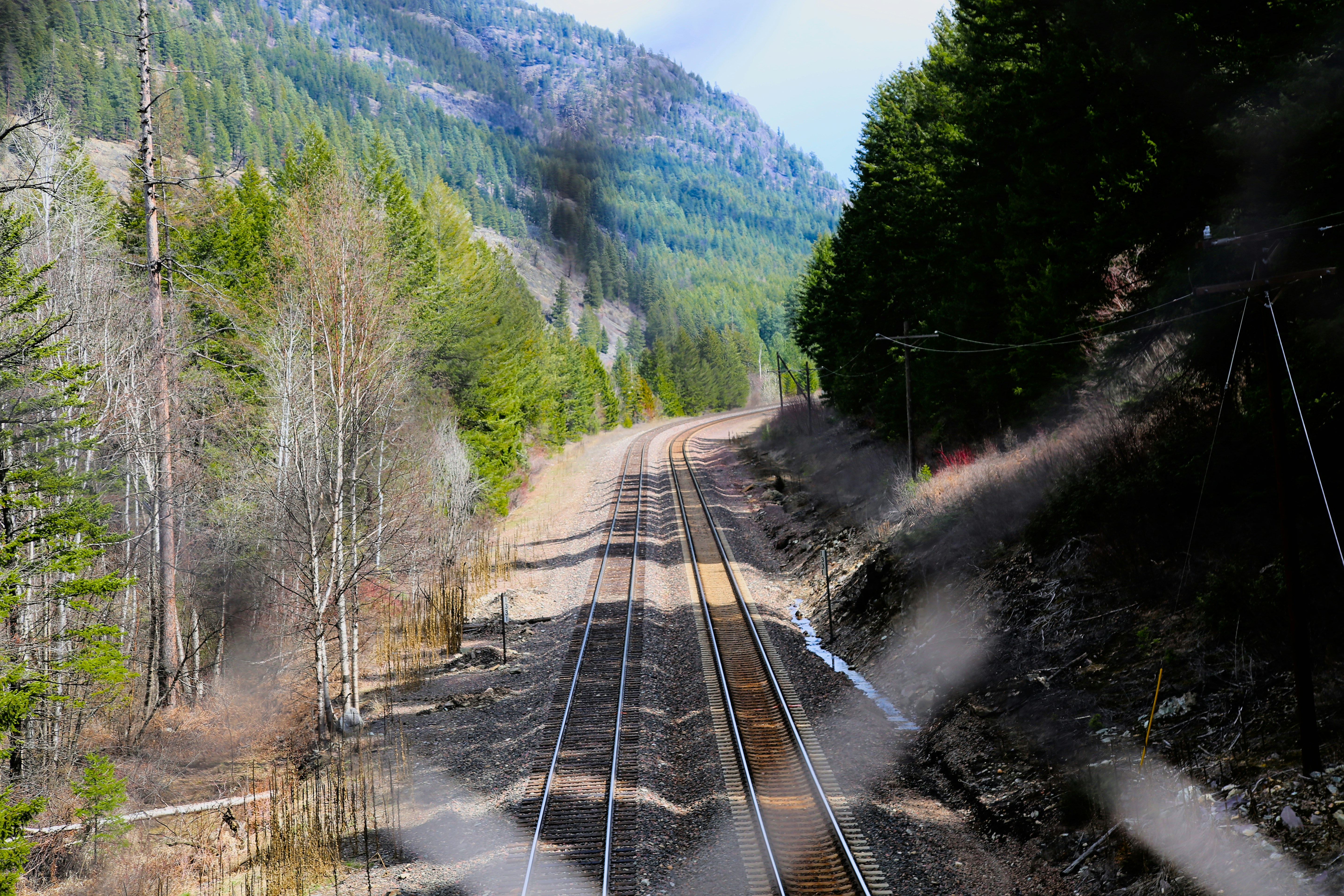 a train track running through a forest with mountains in the background