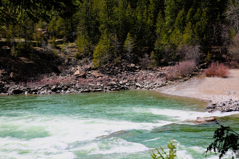 a body of water surrounded by trees and rocks