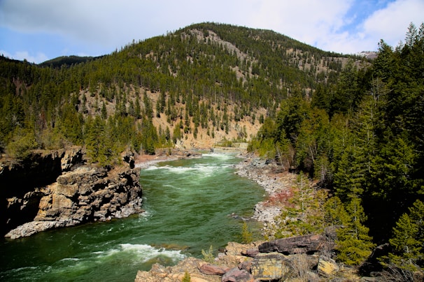 Lush green forest with a winding river reflecting the sky