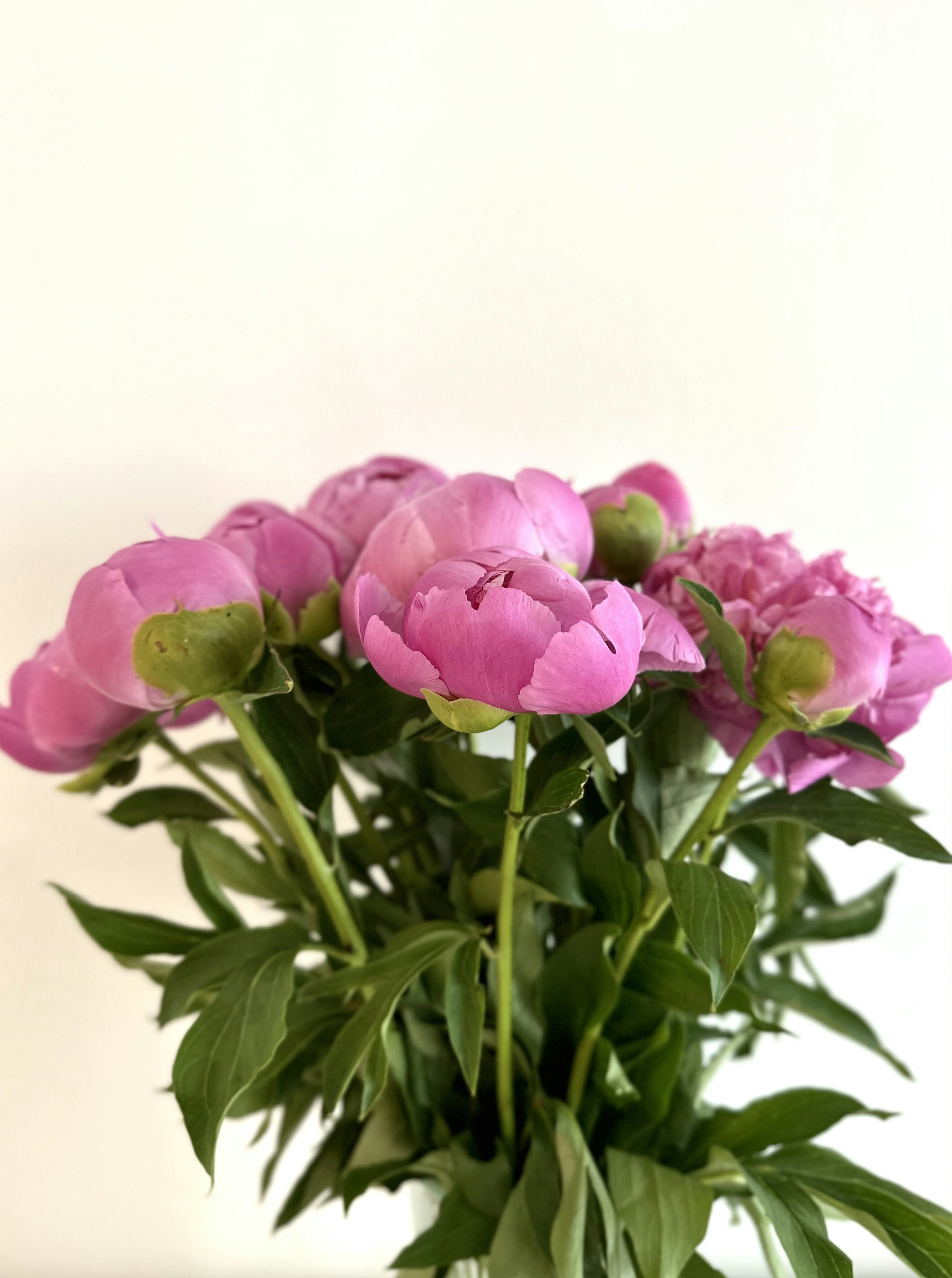 Photo by mariakostory