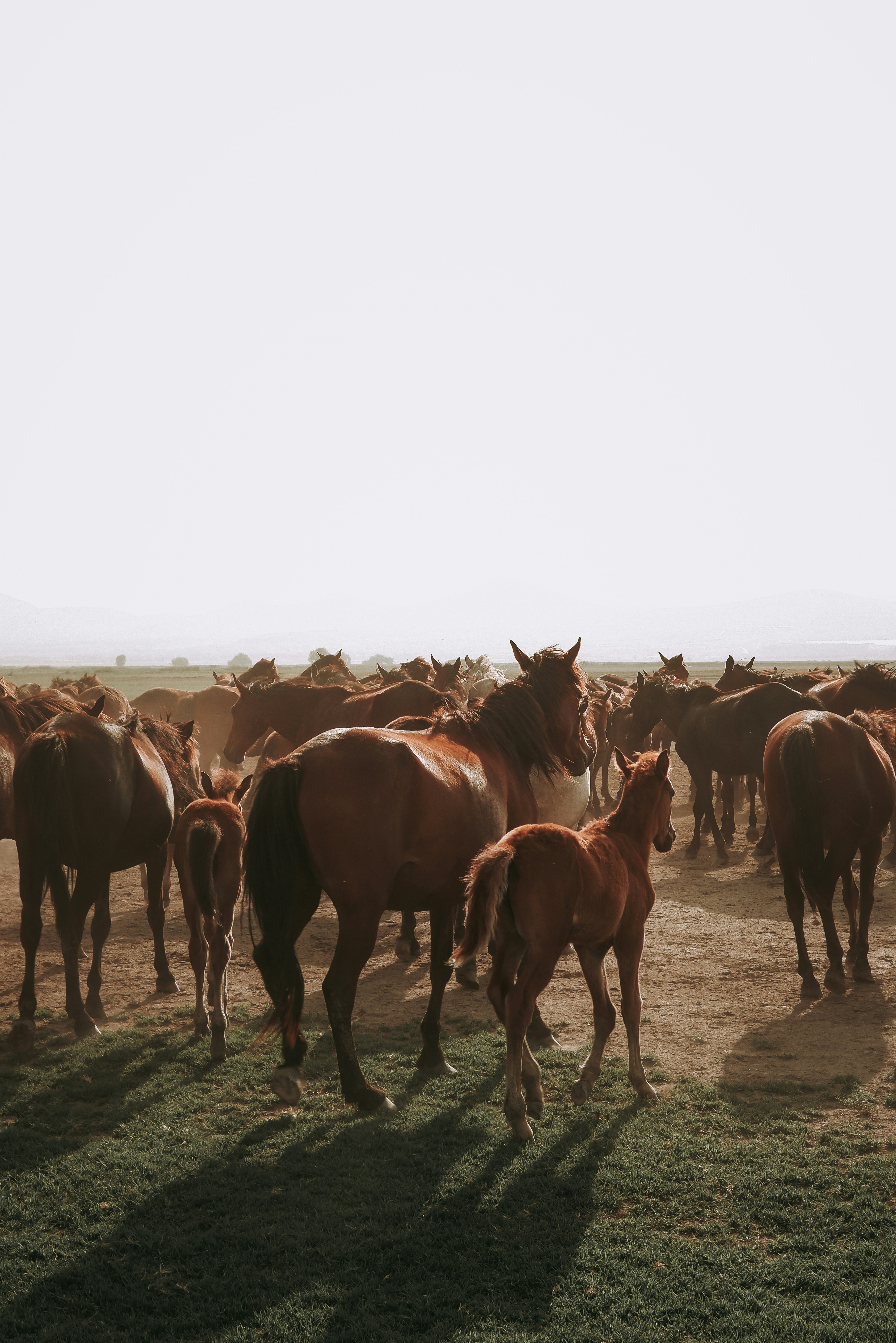Photo by beyzaayurtkuran