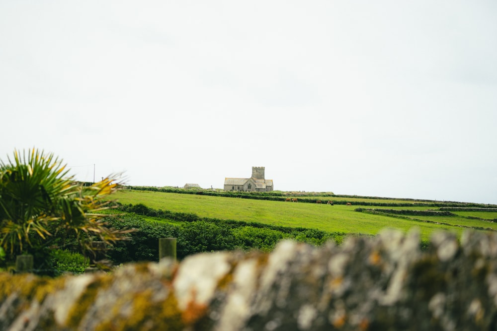 a green field with a house in the distance