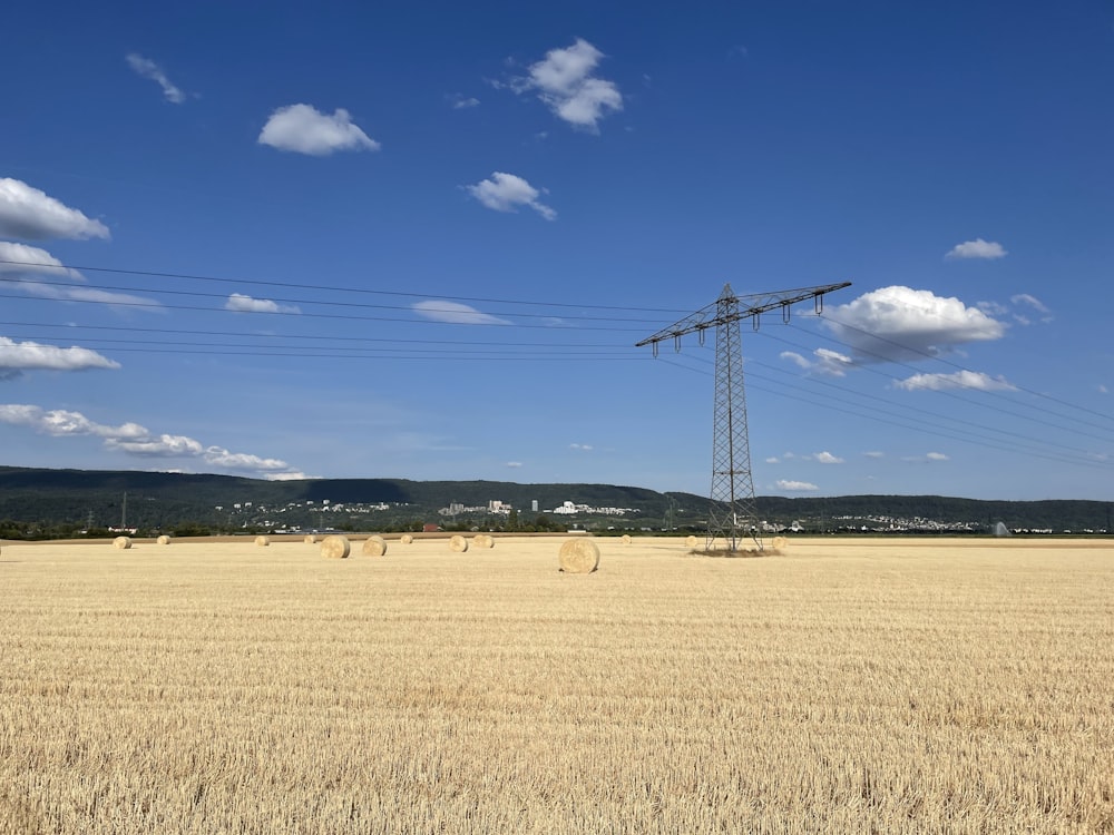 a field with a telephone pole in the middle of it