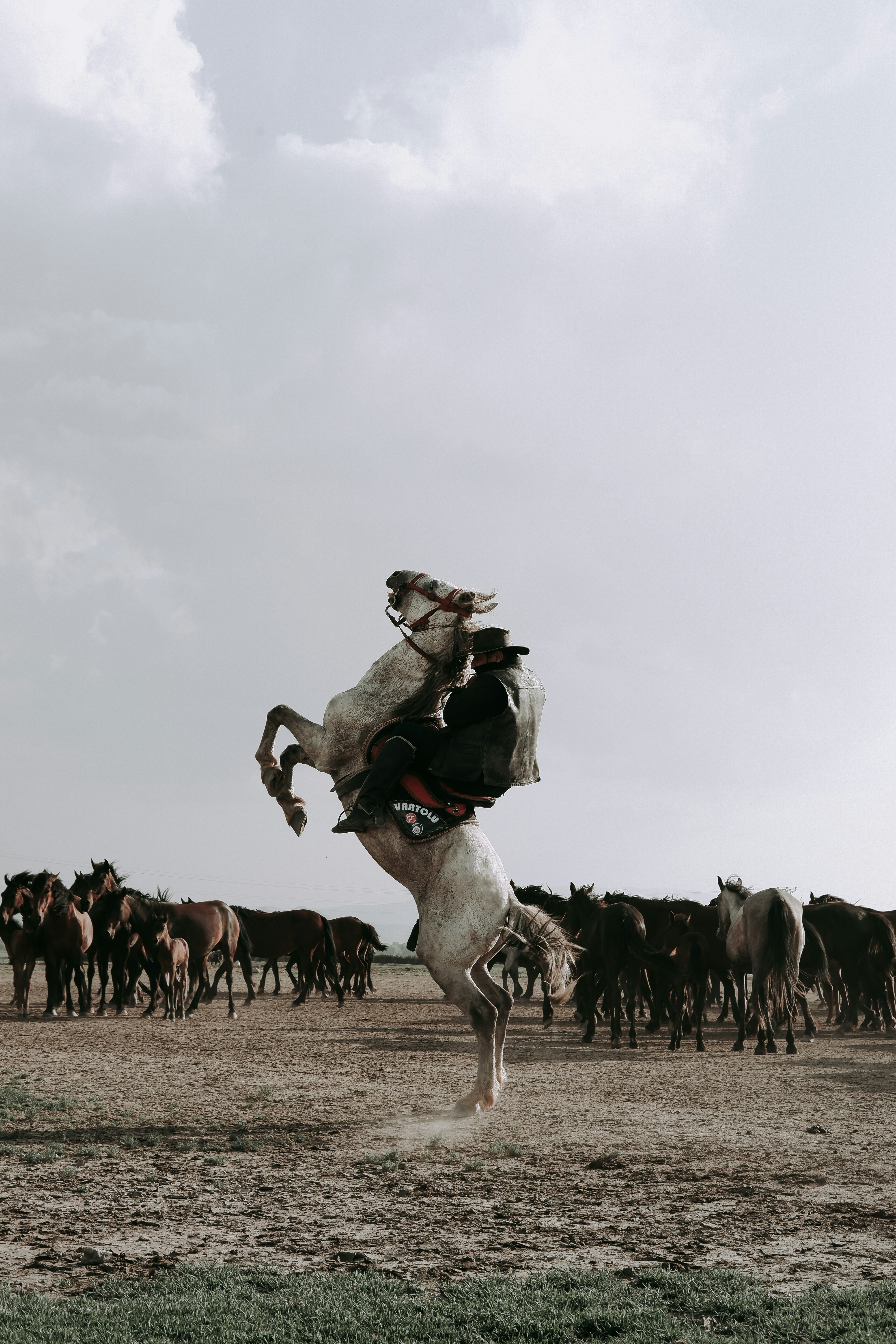 photo-1689885494053-00bff0847393