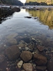 Clear river water flowing over smooth stones with green foliage on the banks.