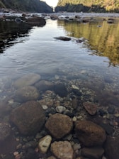 Clear river water flowing over smooth stones with green foliage on the banks.
