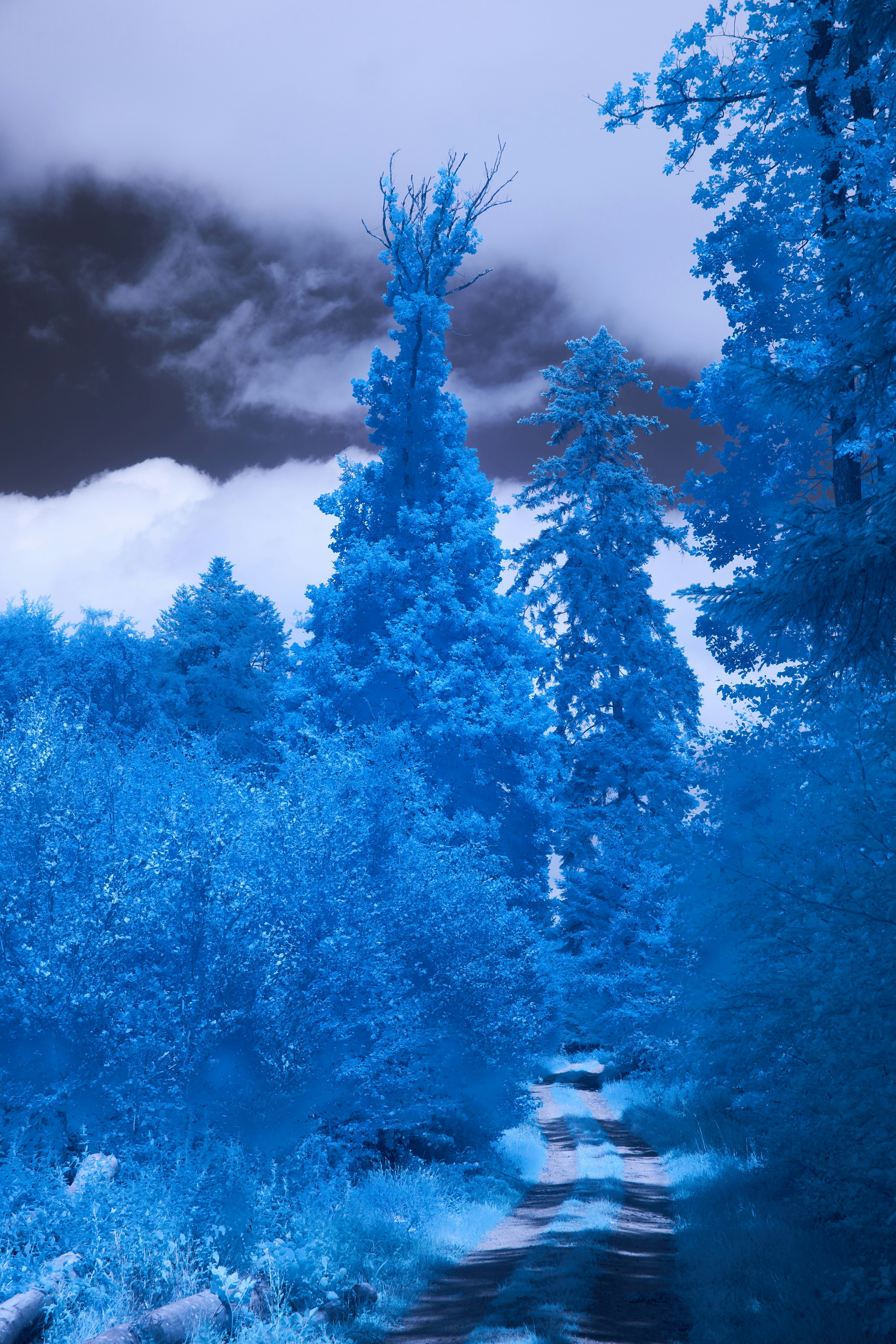 Photo by wolfgang_hasselmann