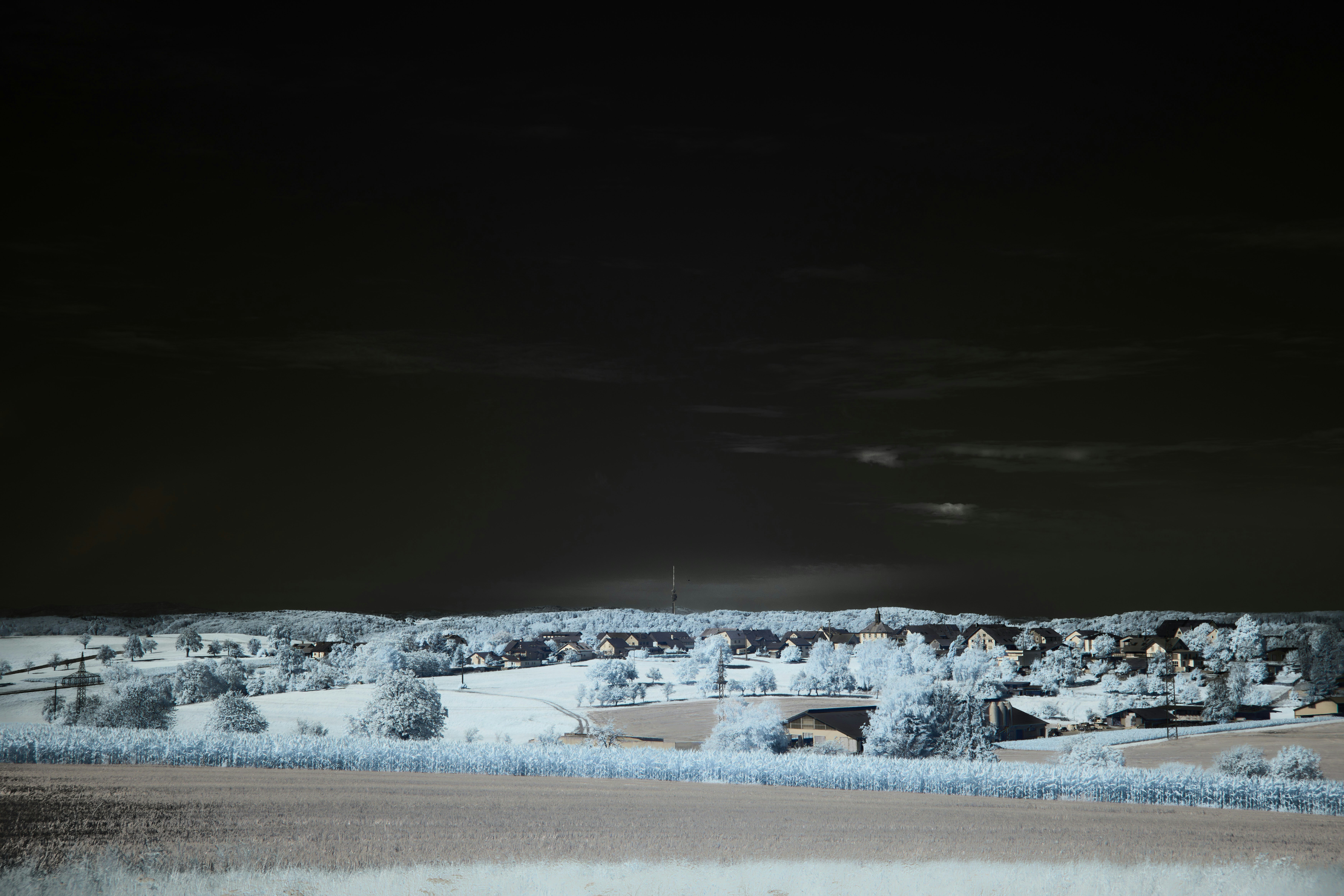 Photo by wolfgang_hasselmann