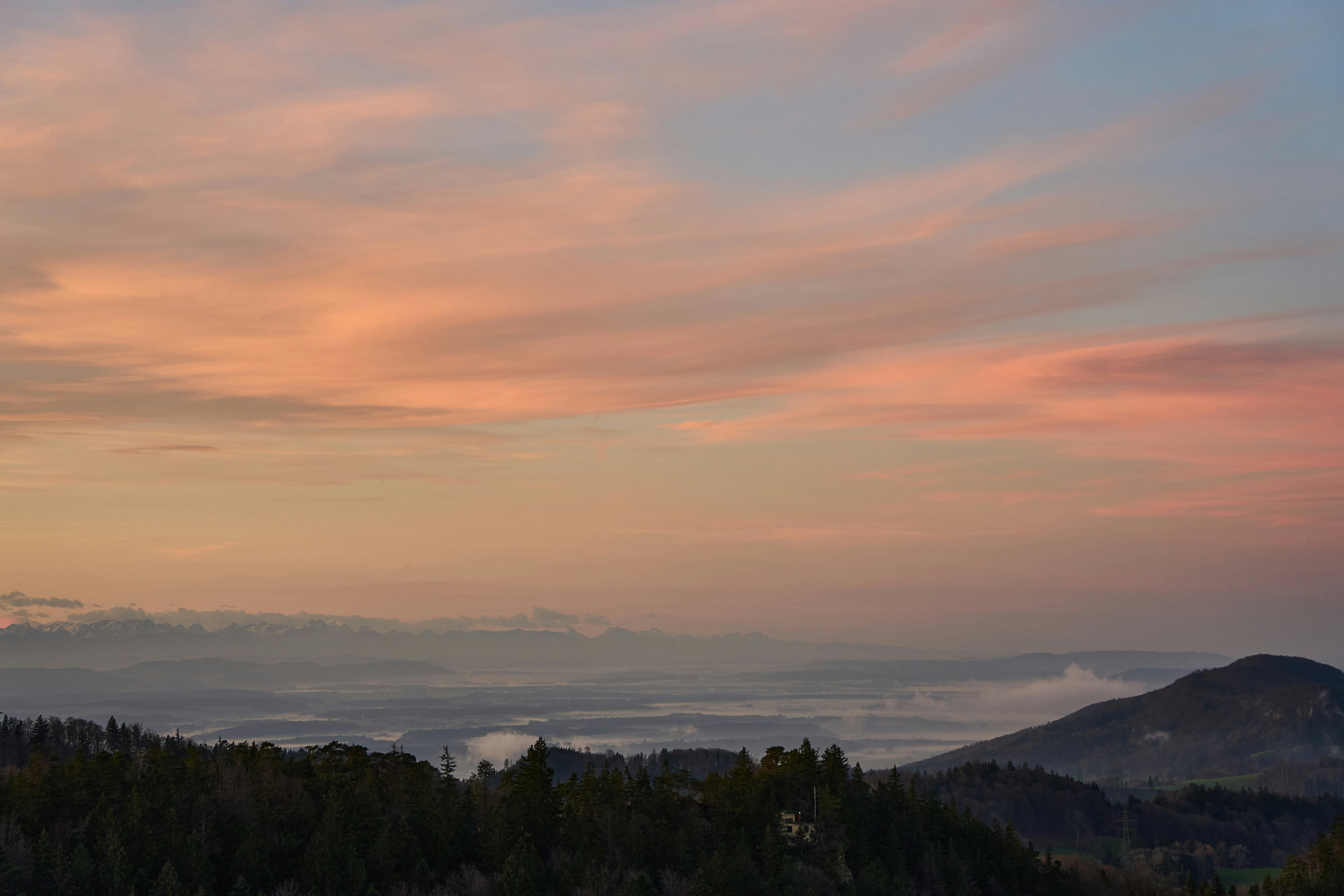 Photo by wolfgang_hasselmann