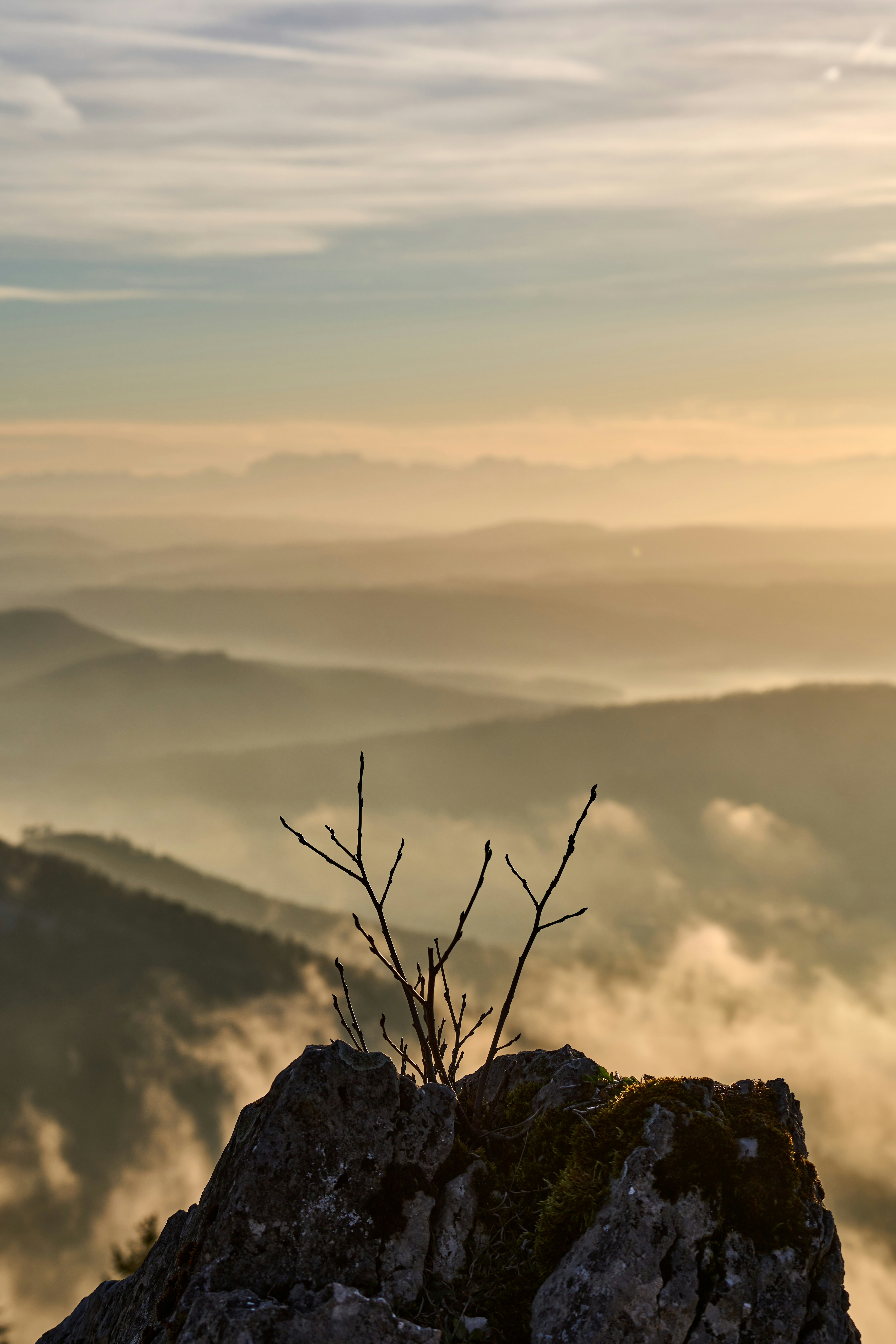 Photo by wolfgang_hasselmann