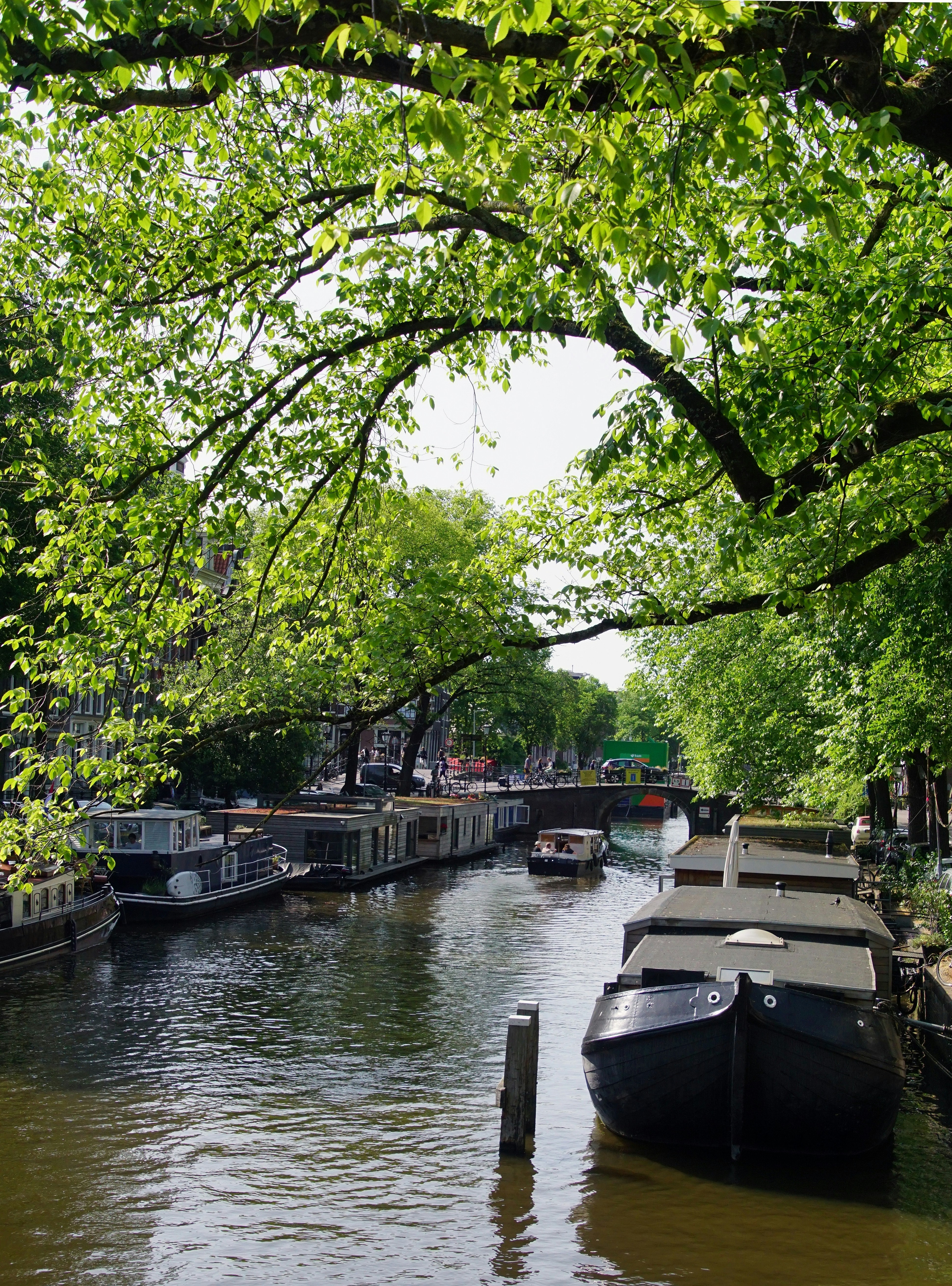 a group of boats floating on top of a river
