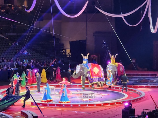 Colorful circus tent with playful animal characters performing under bright stars.