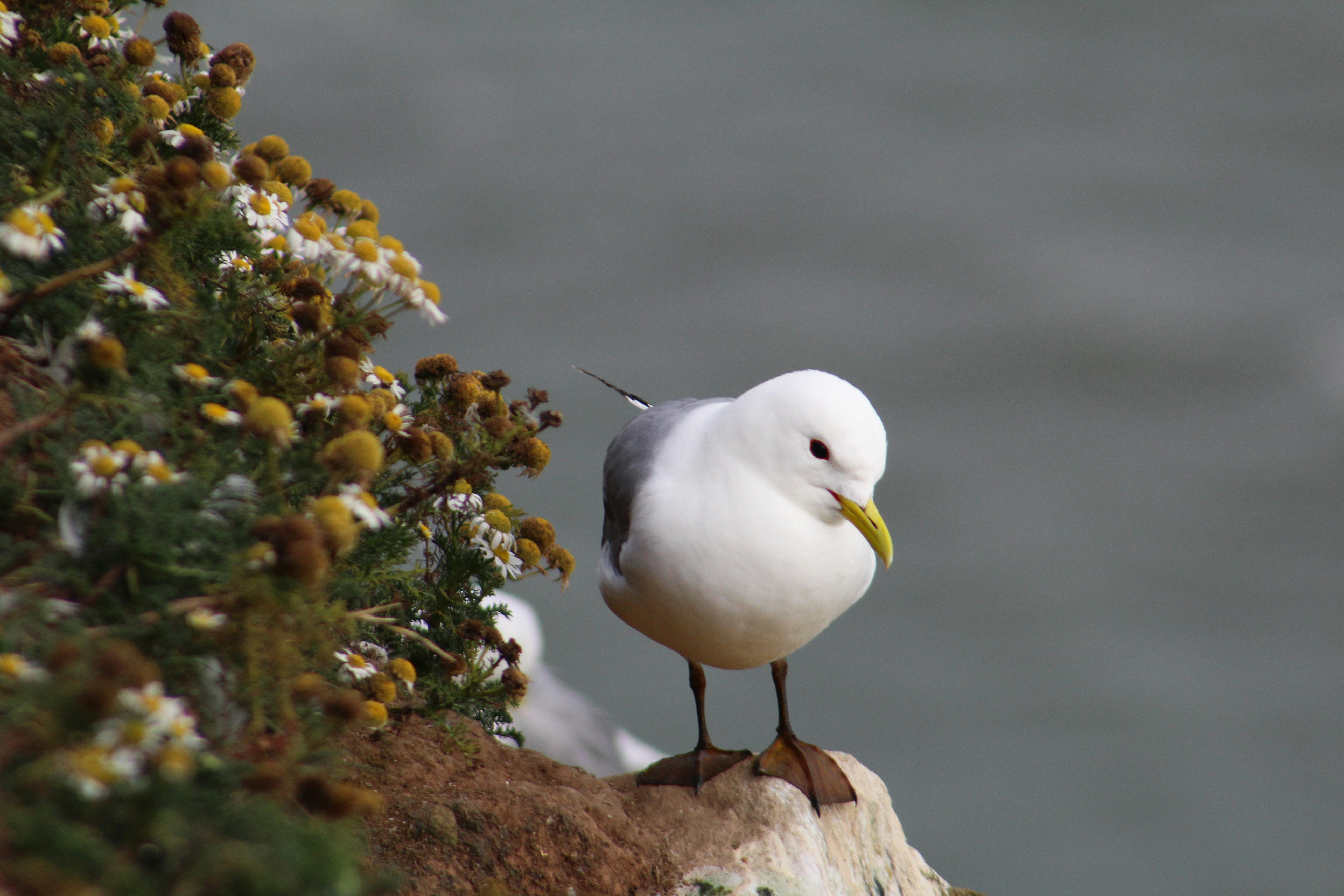 Photo by julia_fiander