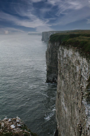 A panoramic view of rugged coastal cliffs meeting the restless sea, with seabirds soaring overhead.