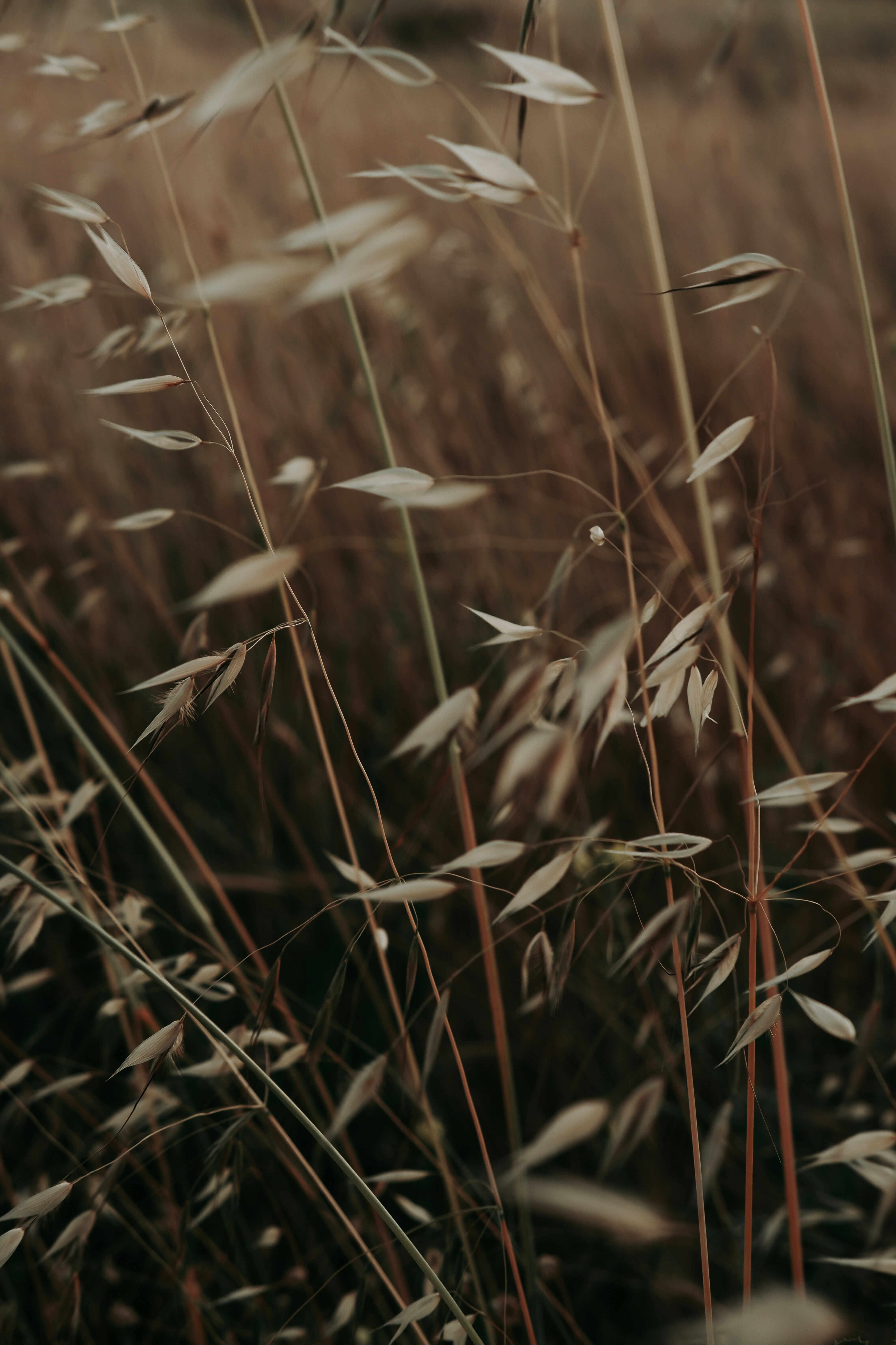 Photo by beyzaayurtkuran