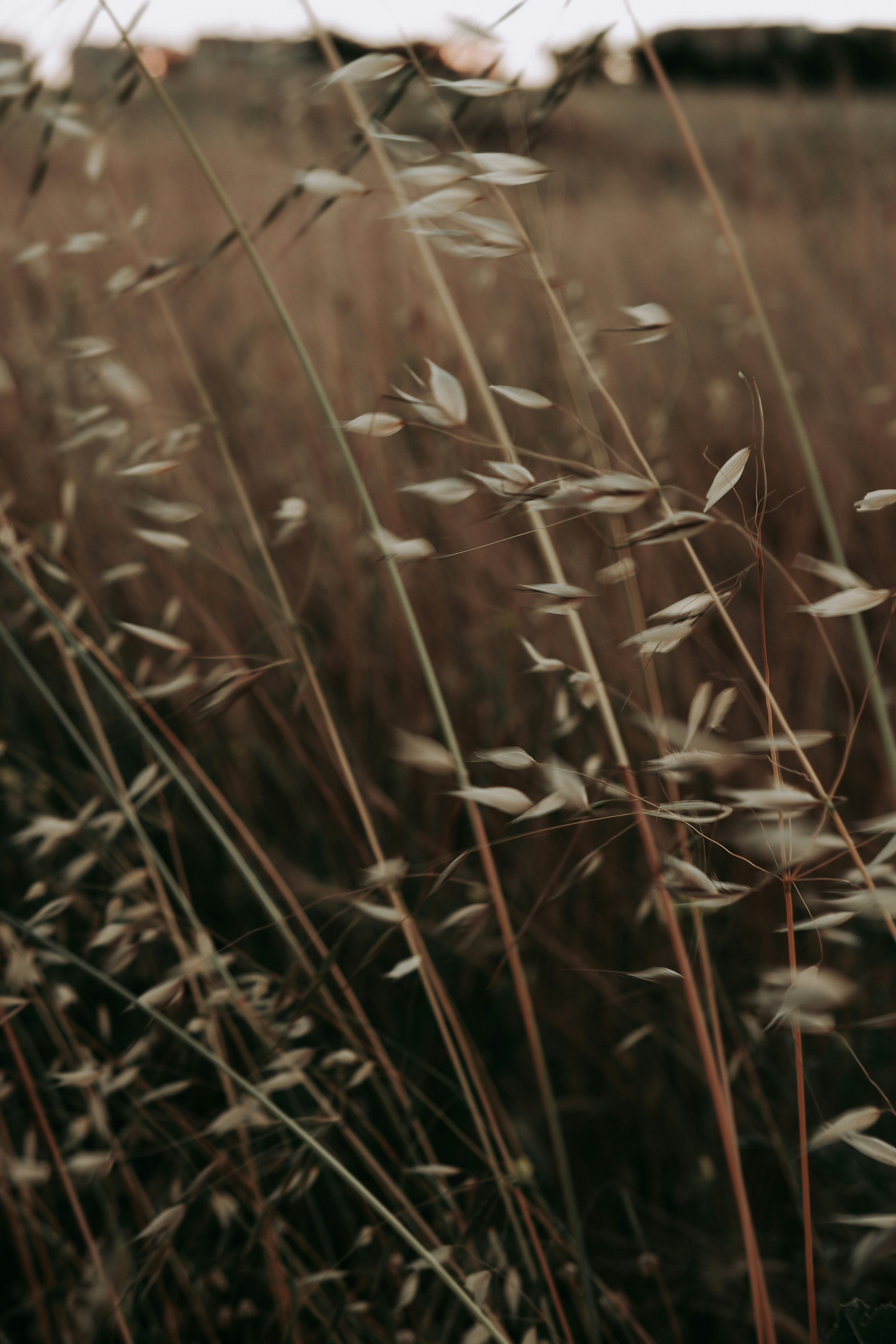 Photo by beyzaayurtkuran