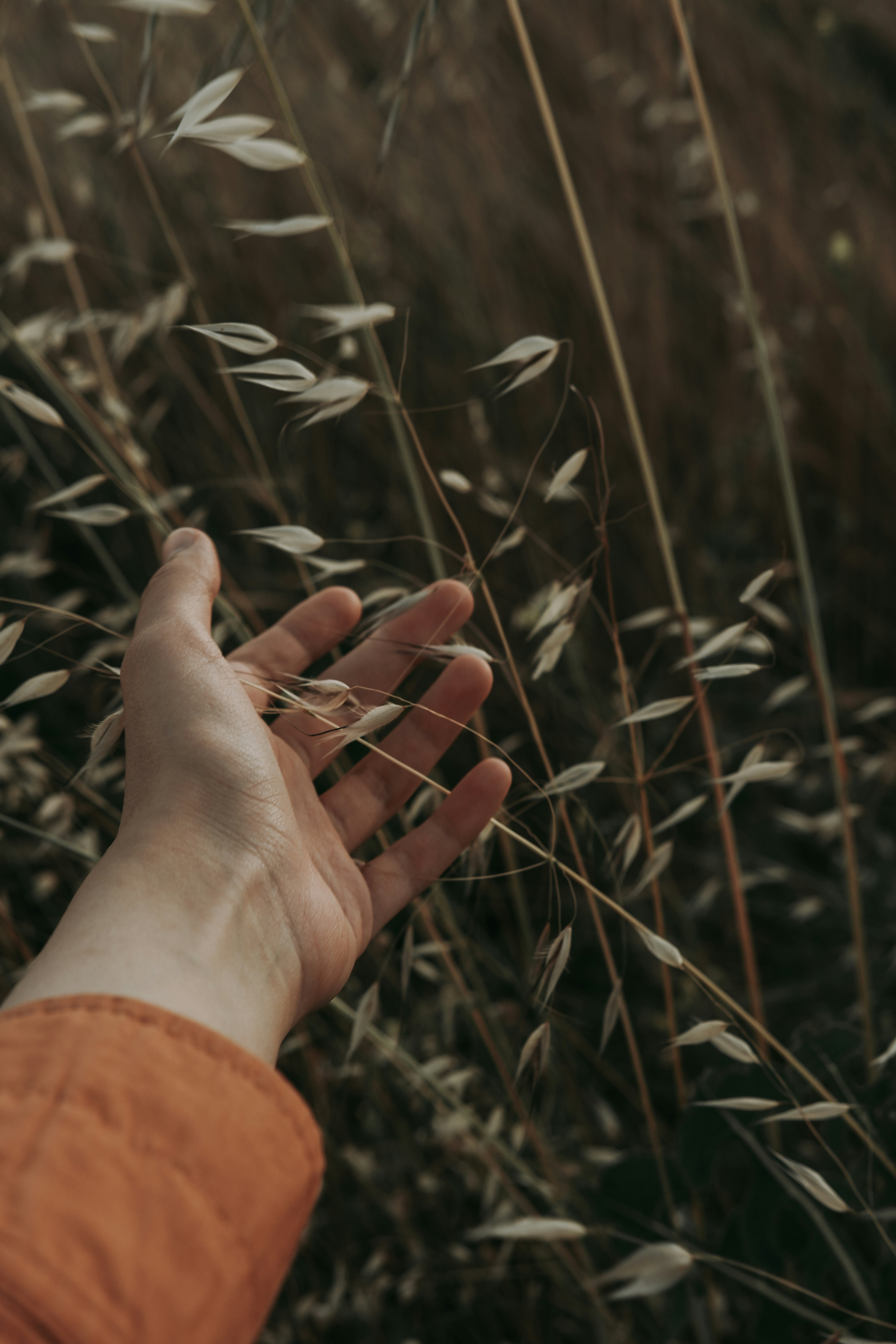 Photo by beyzaayurtkuran