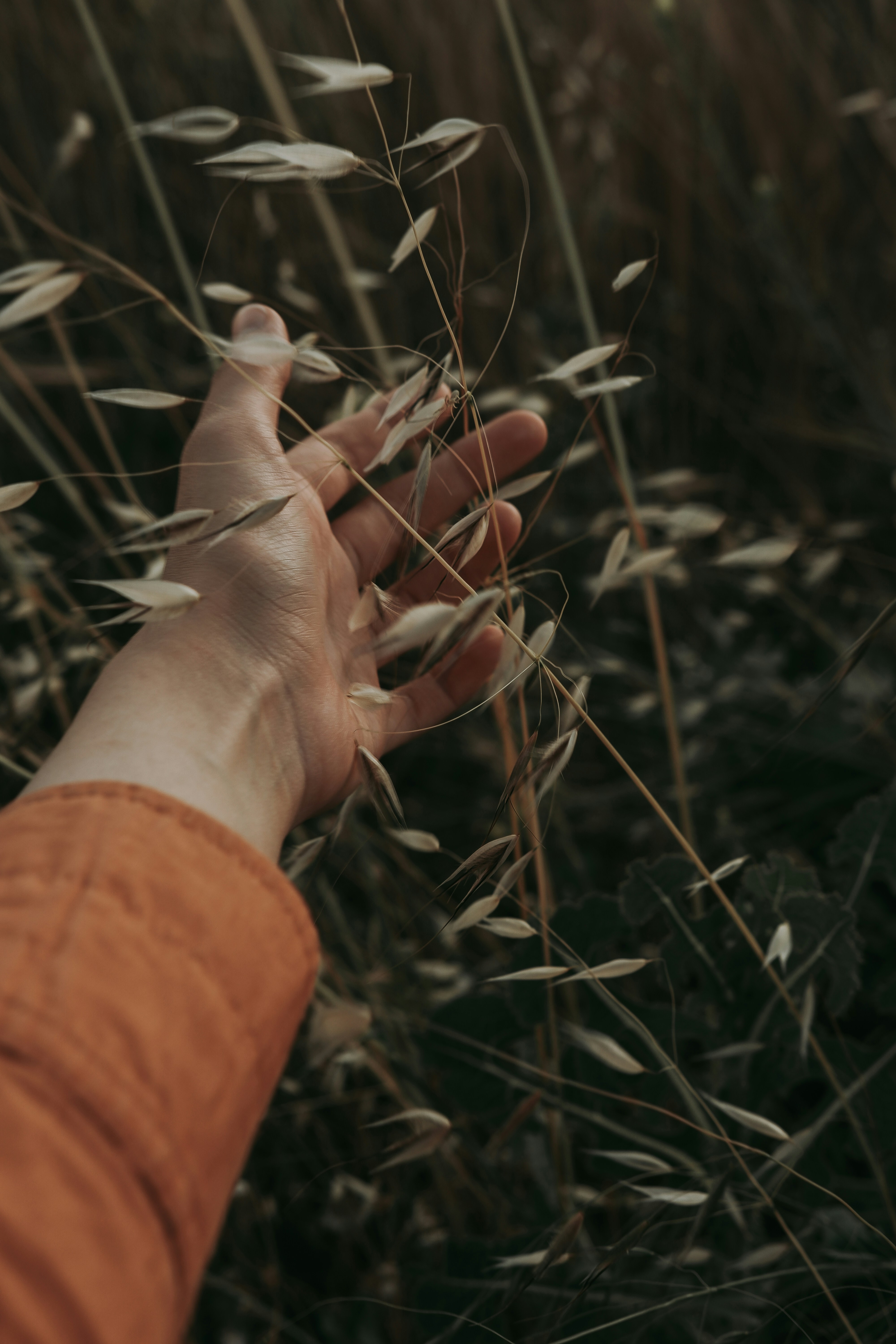 Photo by beyzaayurtkuran