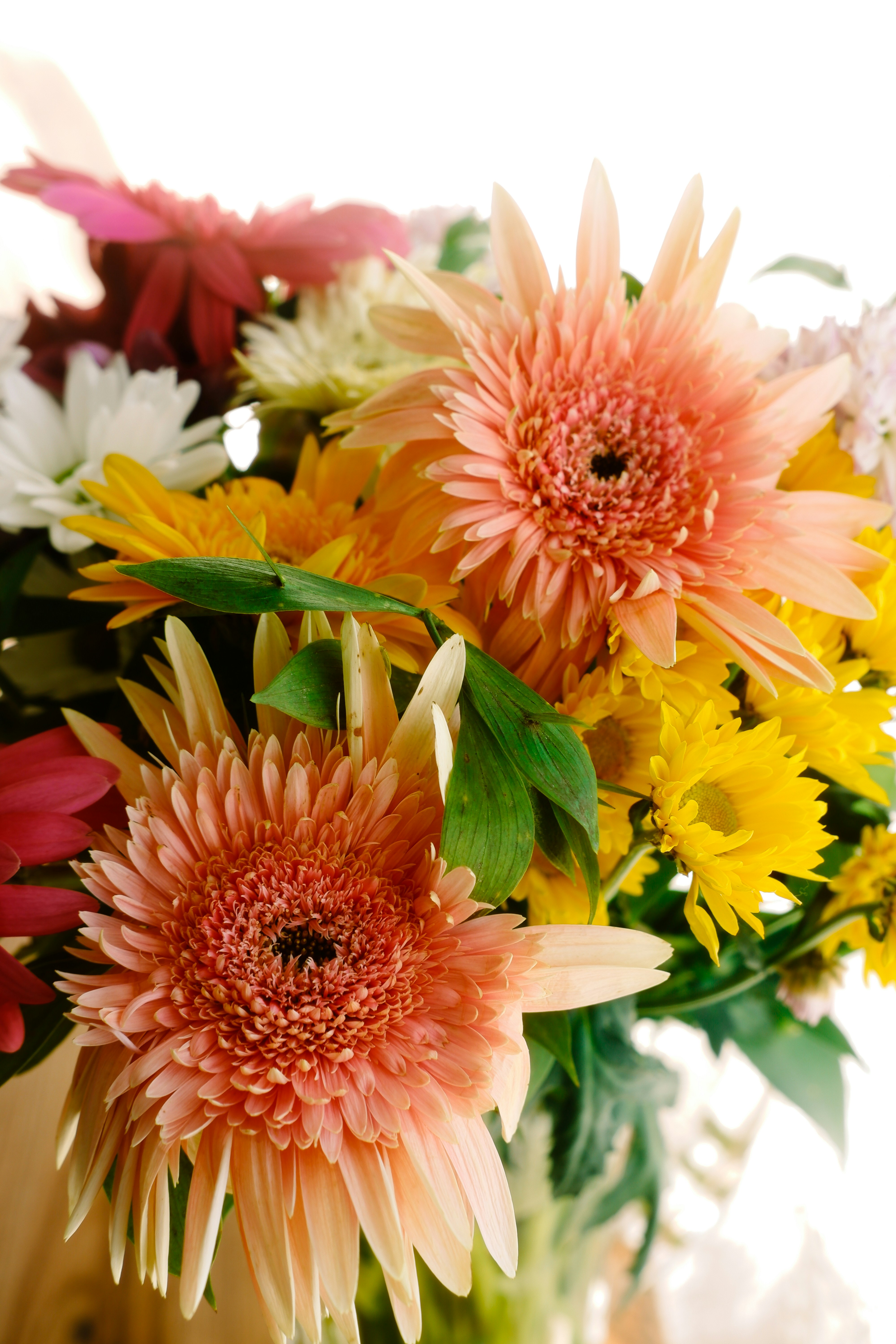 Photo by beyzaayurtkuran